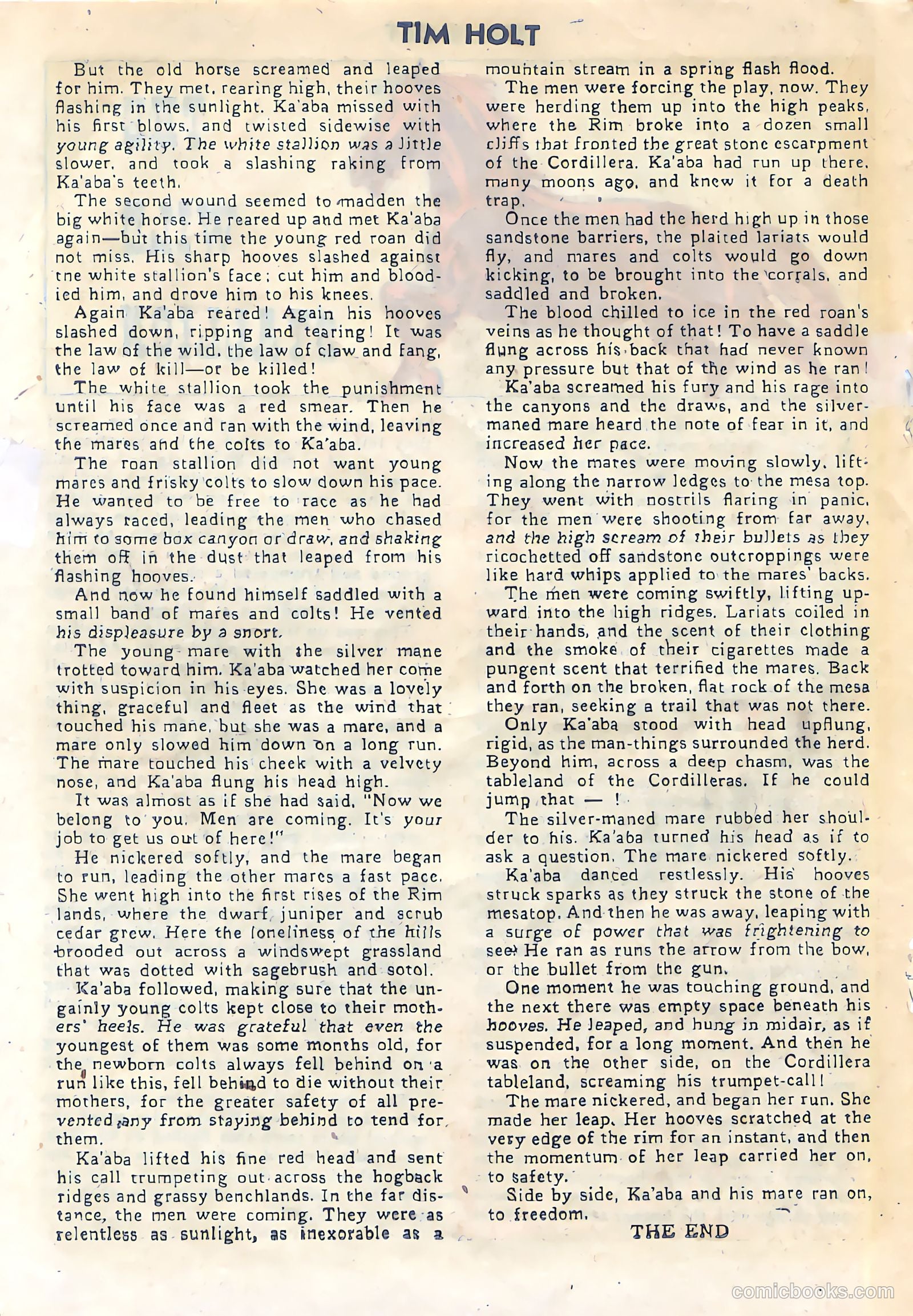 Tim Holt #26 (1951) — page 17 of 34