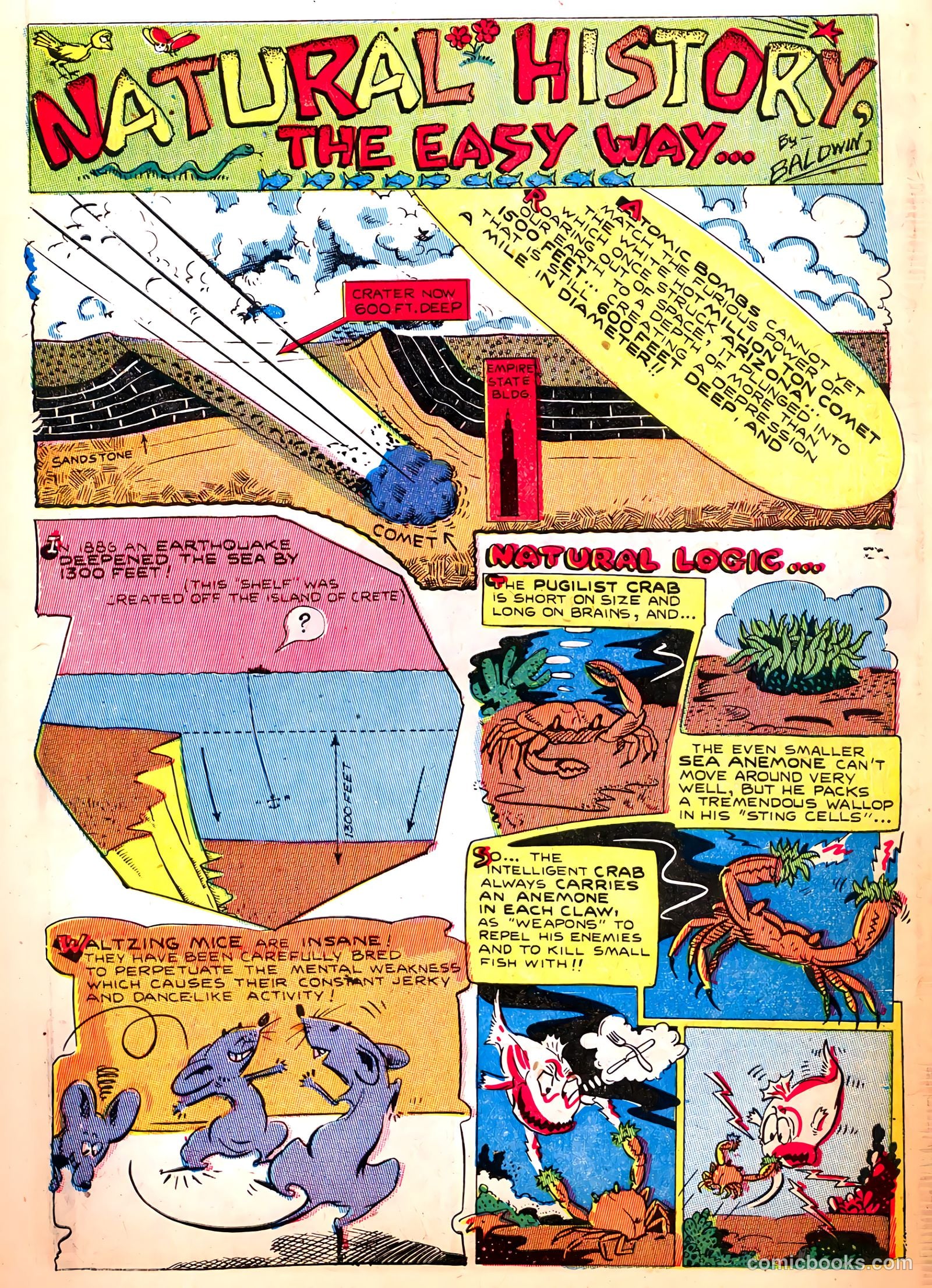 Treasure Comics #7 (1946) — page 11 of 53