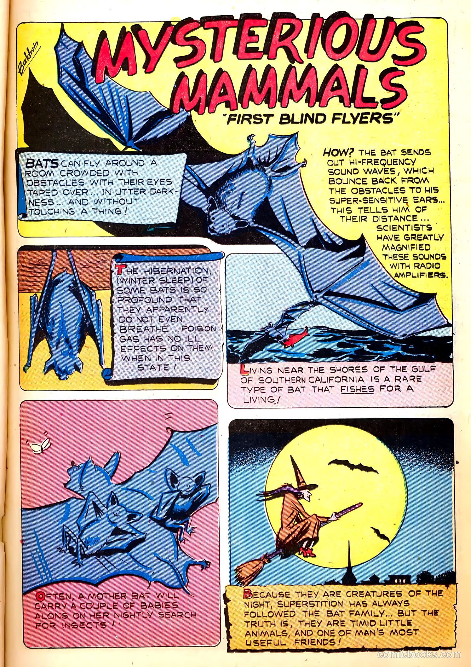 Treasure Comics #7 (1946) — page 29 of 53