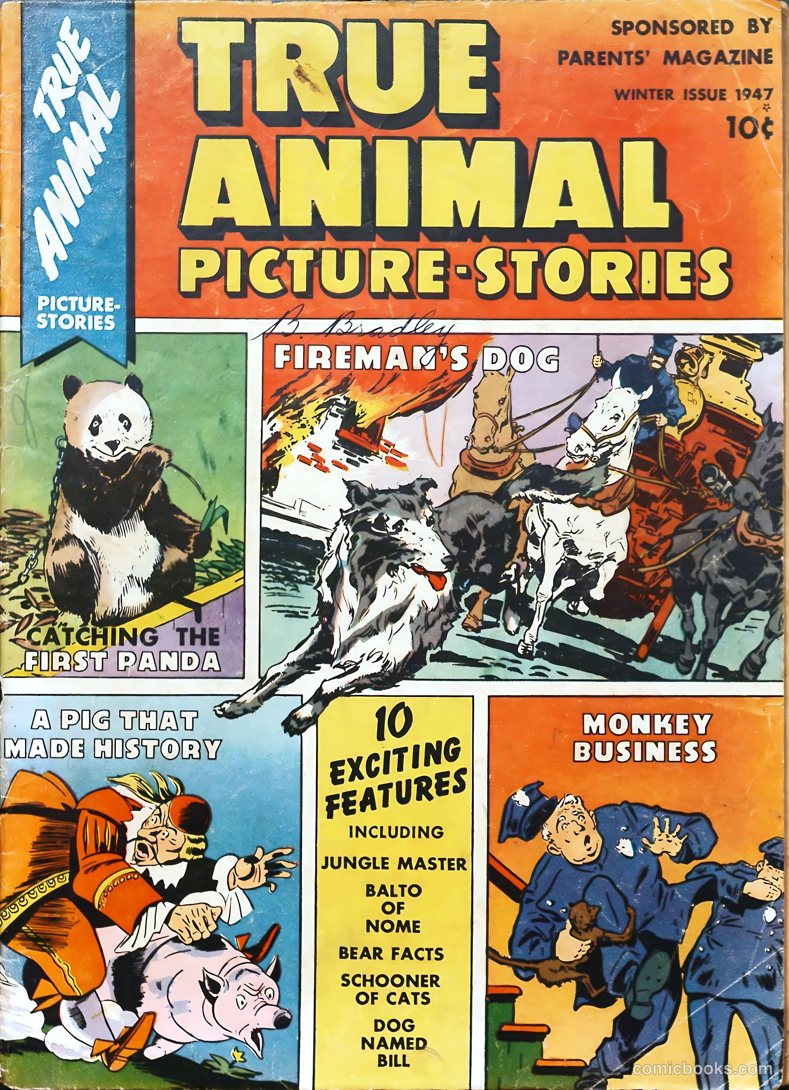 True Animal Picture-Stories #1 cover