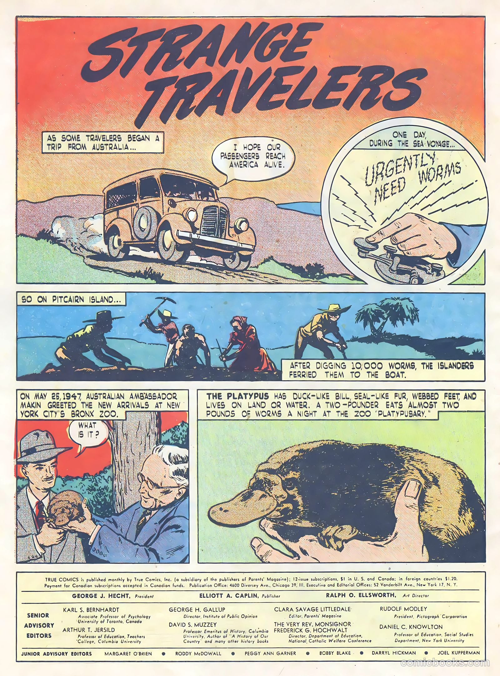 True Comics #65 (1947, Parents' Magazine Press) — page 34 of 37