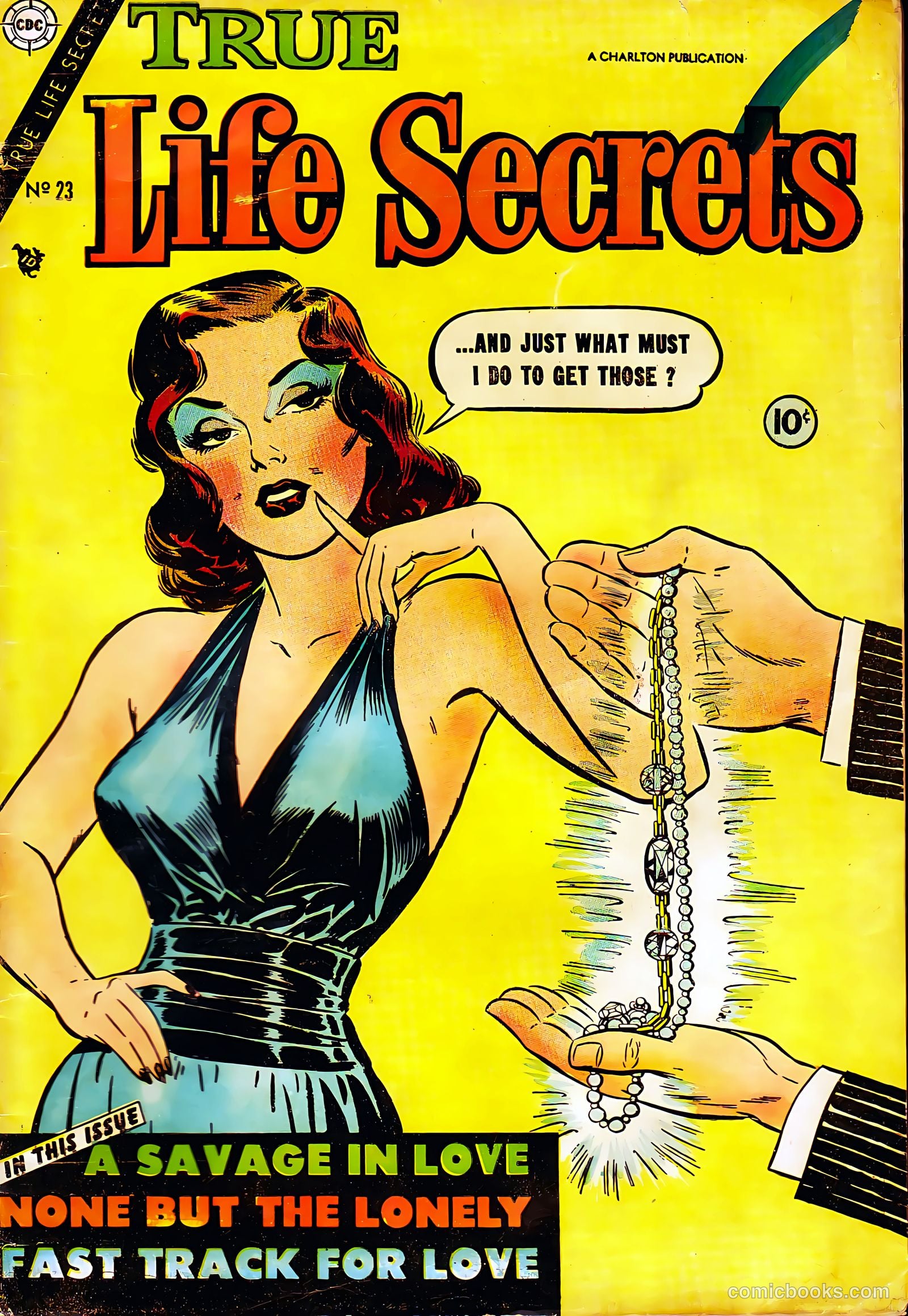 True Life Secrets #23