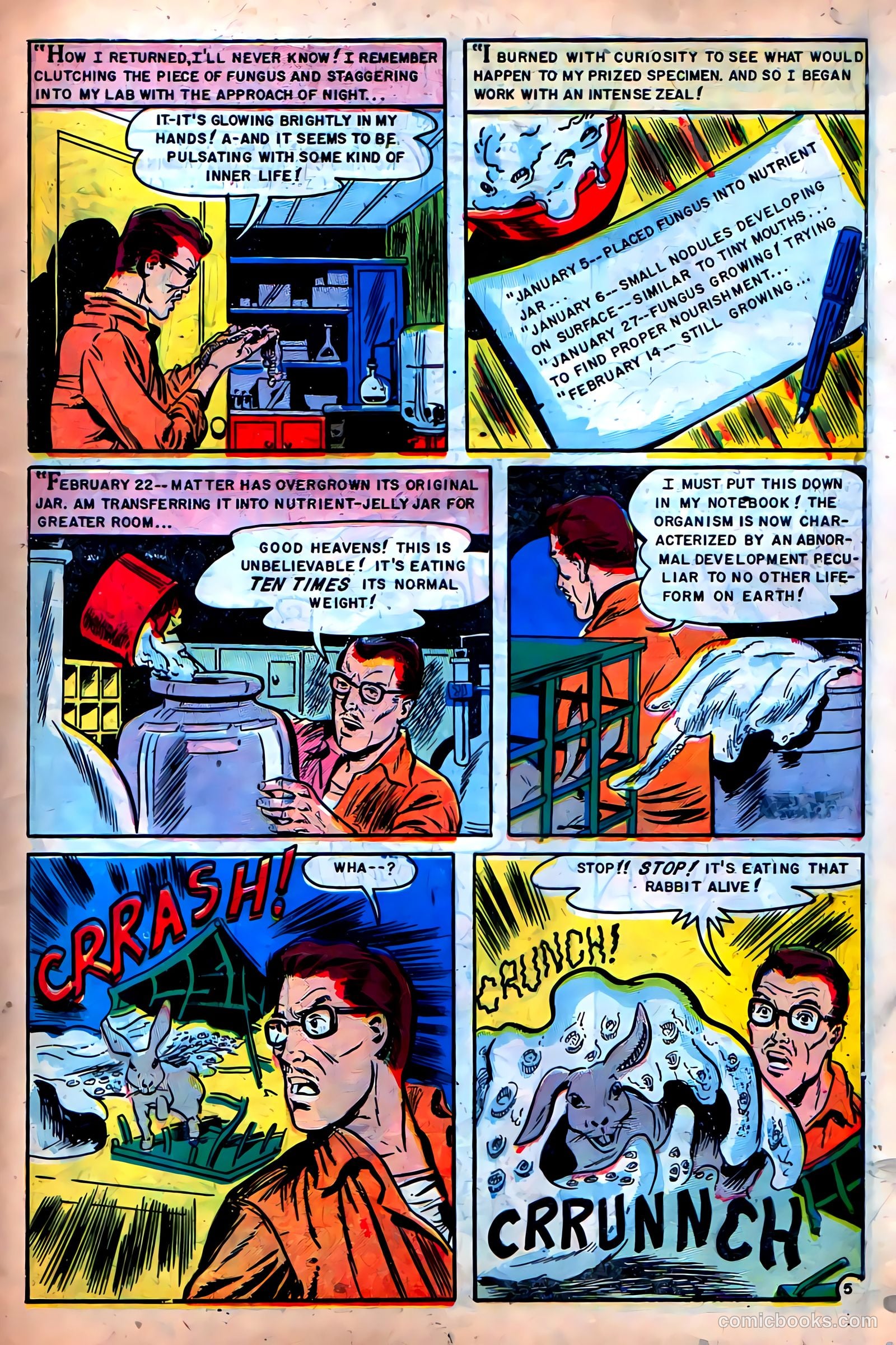 Beware #3 (1955) — page 7