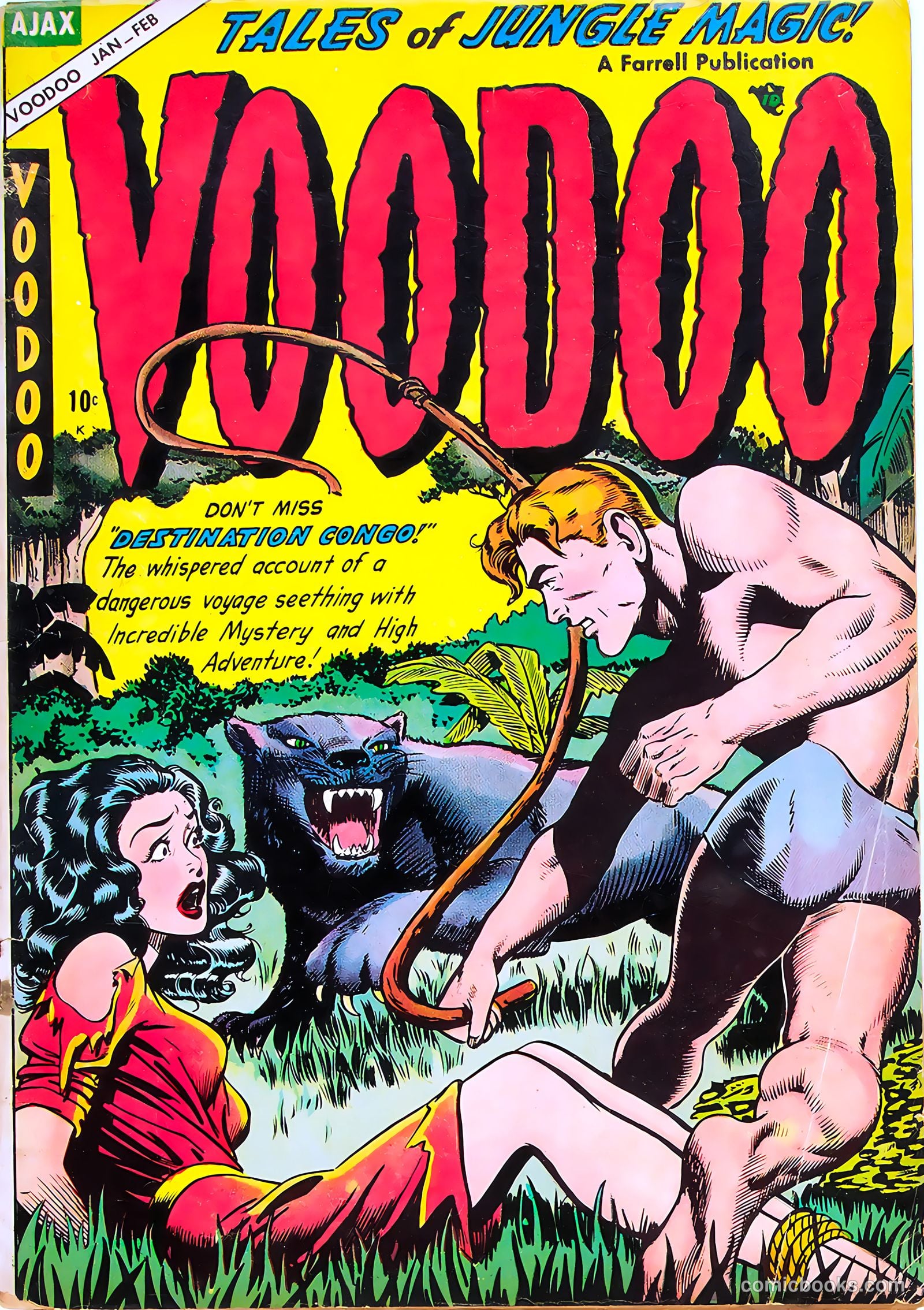 Voodoo #19 cover
