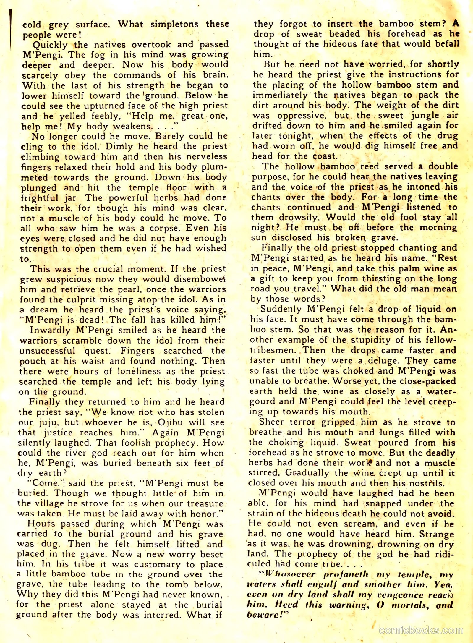 Wambi Jungle Boy #11 — page 22 of 36