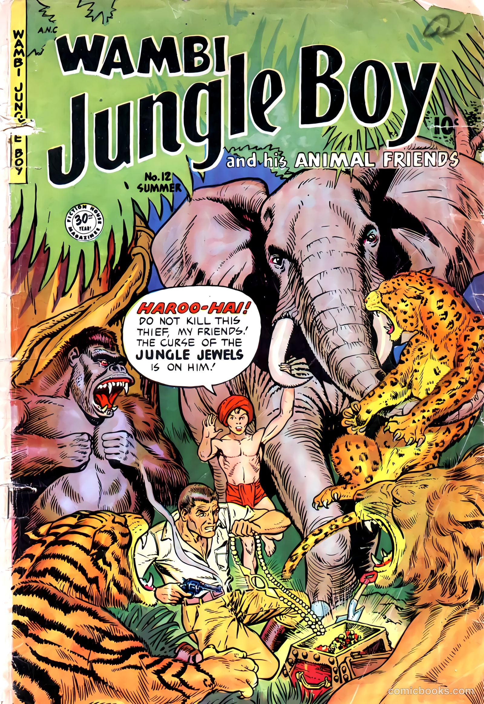 Wambi, Jungle Boy #12