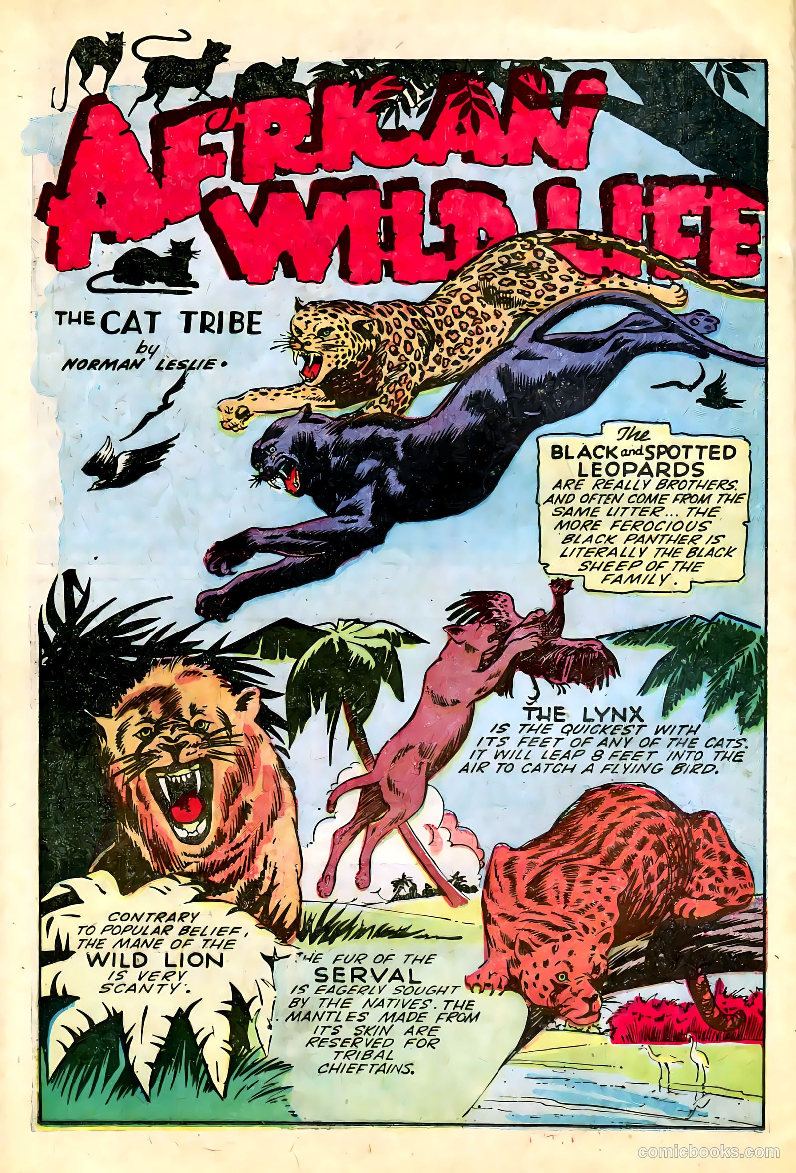 Wambi, Jungle Boy #13 — page 24 of 36