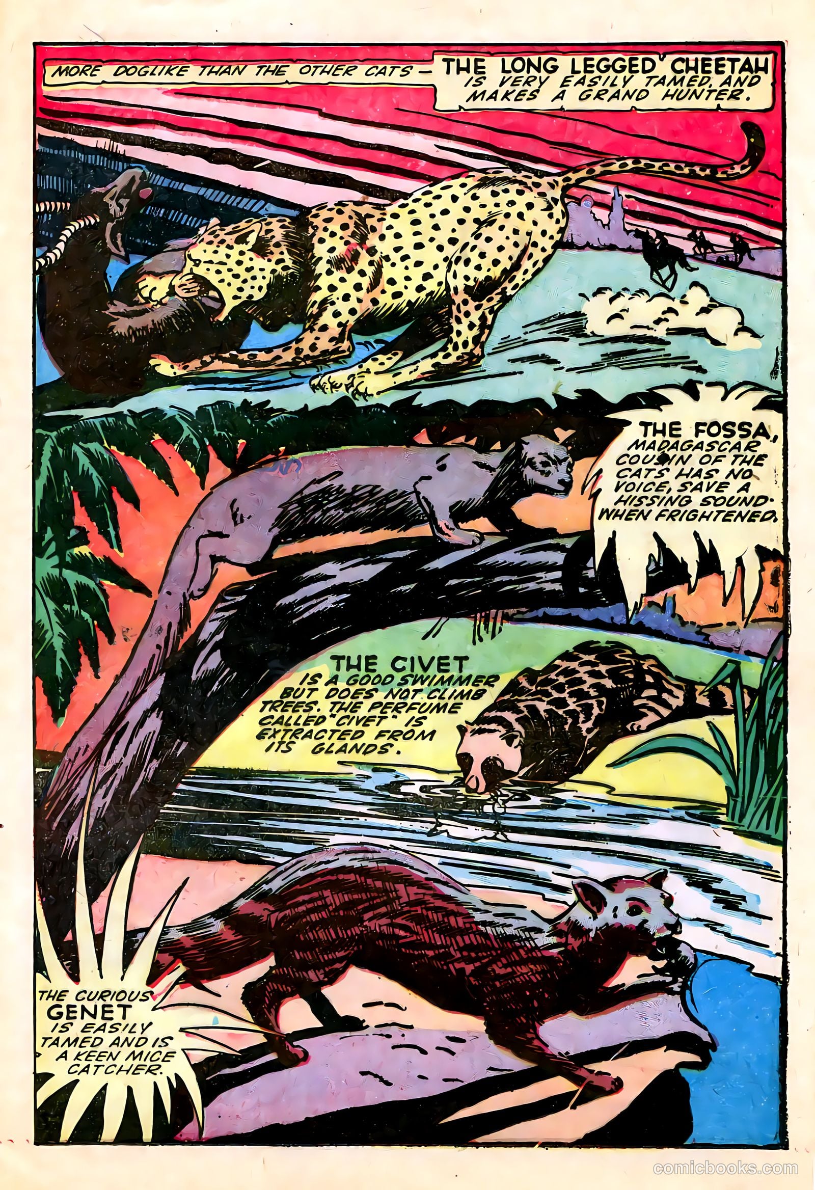 Wambi, Jungle Boy #13 — page 25 of 36