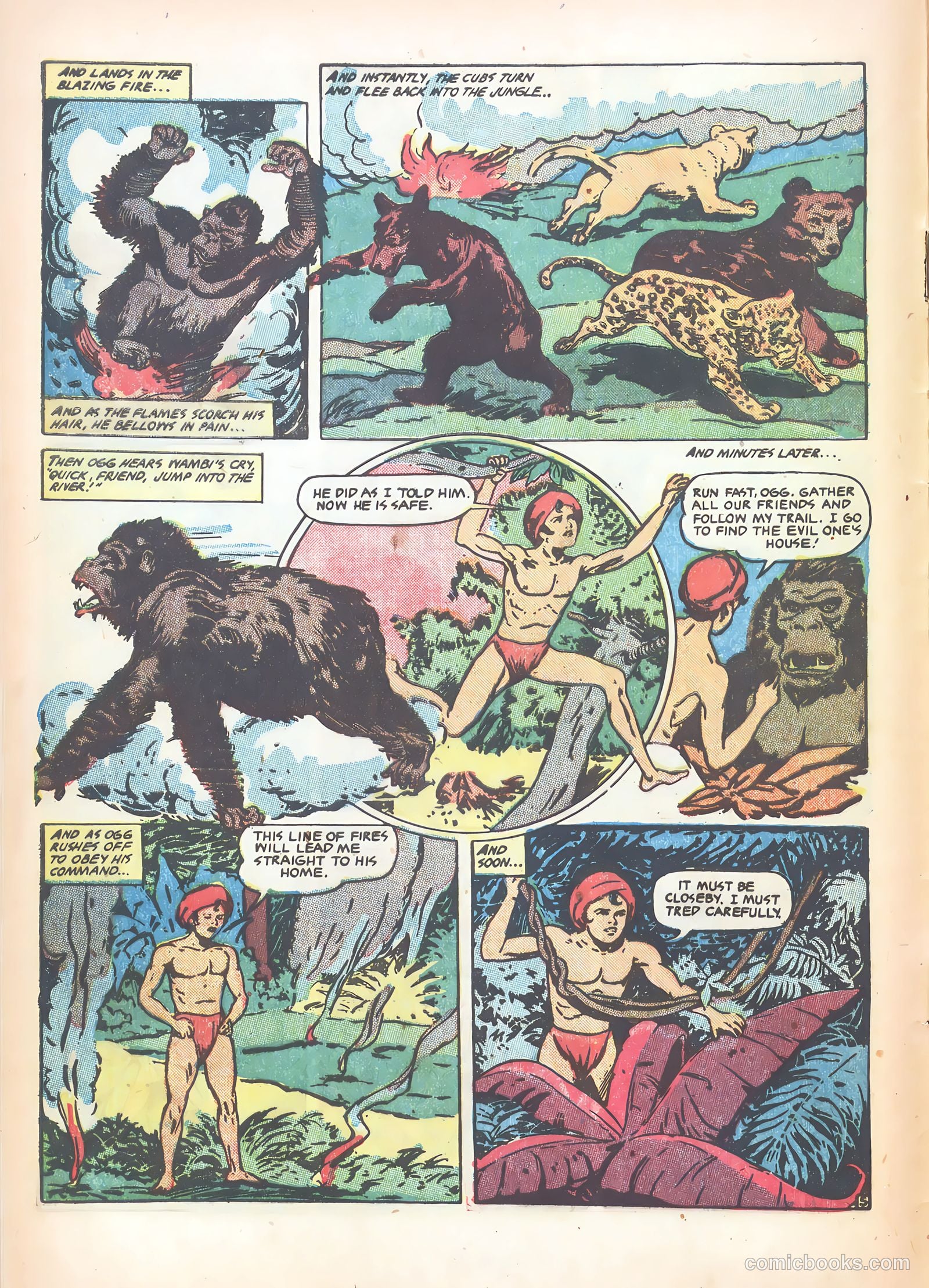 Wambi, Jungle Boy #15 — page 8 of 36
