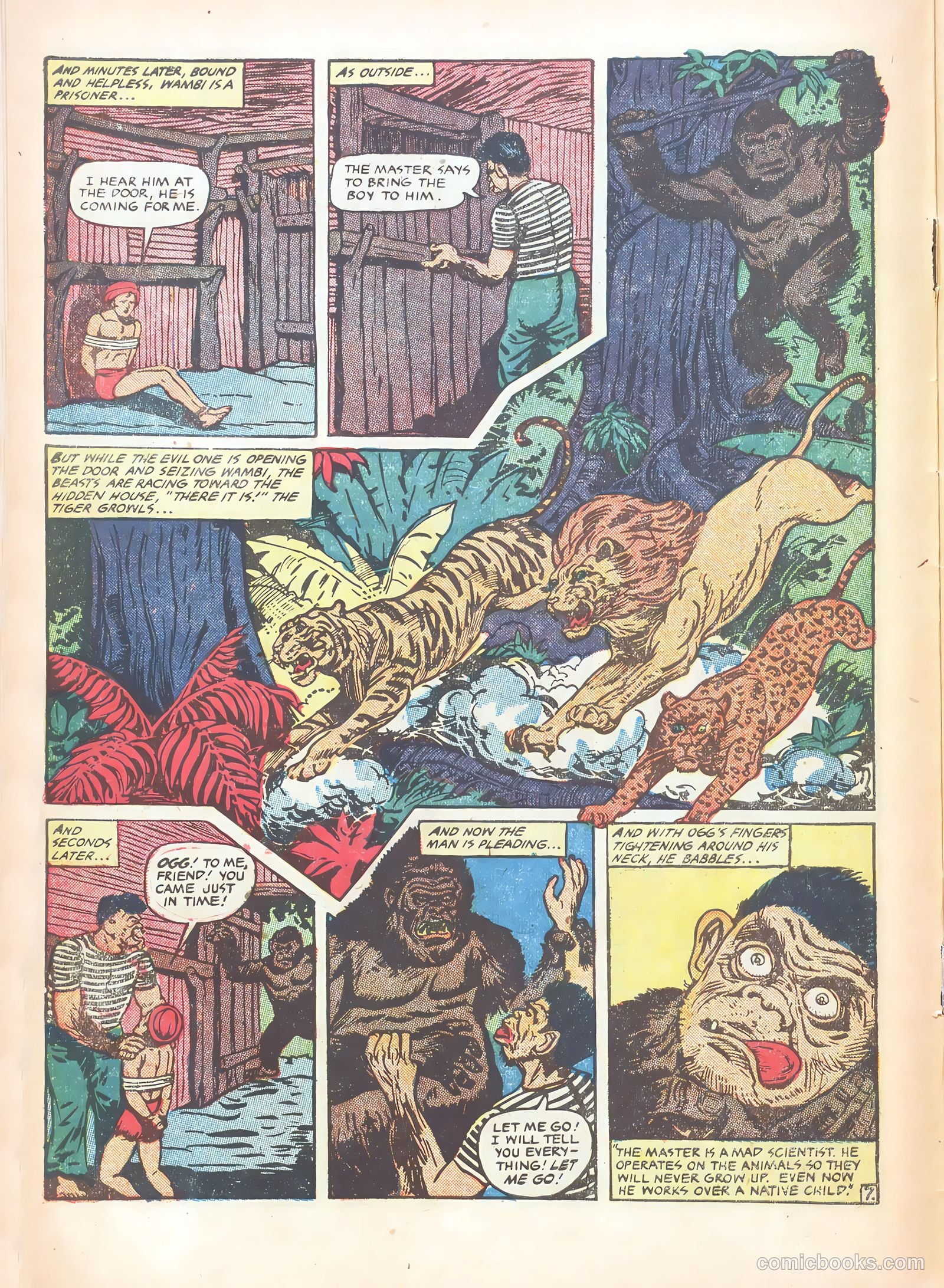 Wambi, Jungle Boy #15 — page 10 of 36