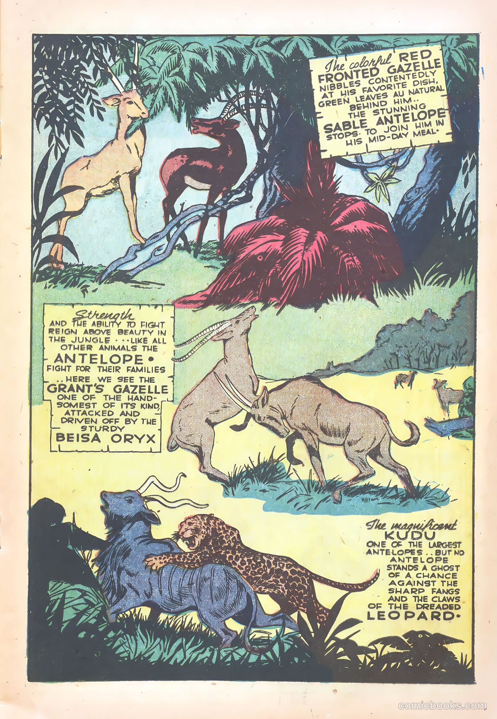 Wambi, Jungle Boy #15 — page 17 of 36