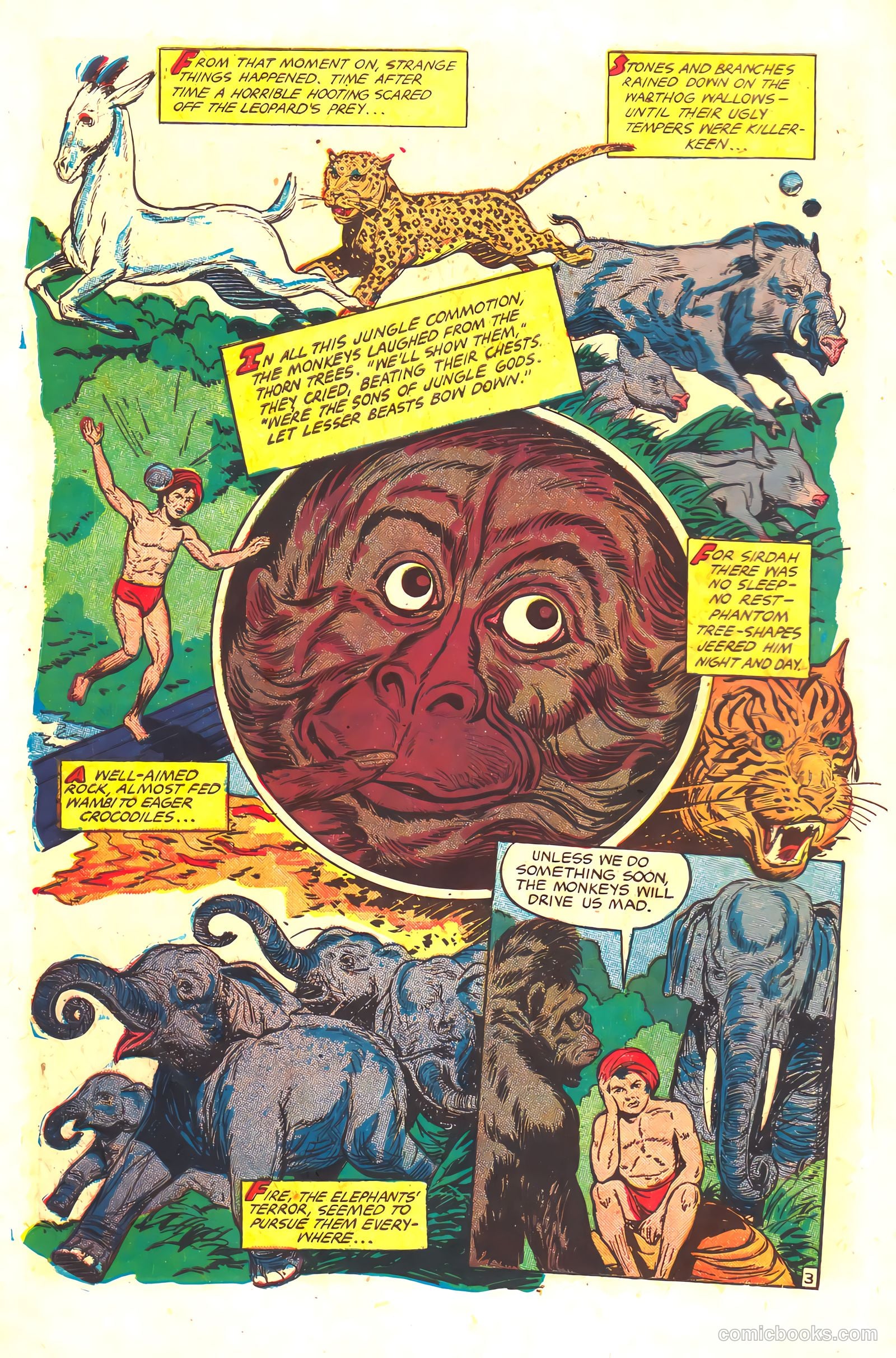 Wambi, Jungle Boy #16 — page 6 of 36