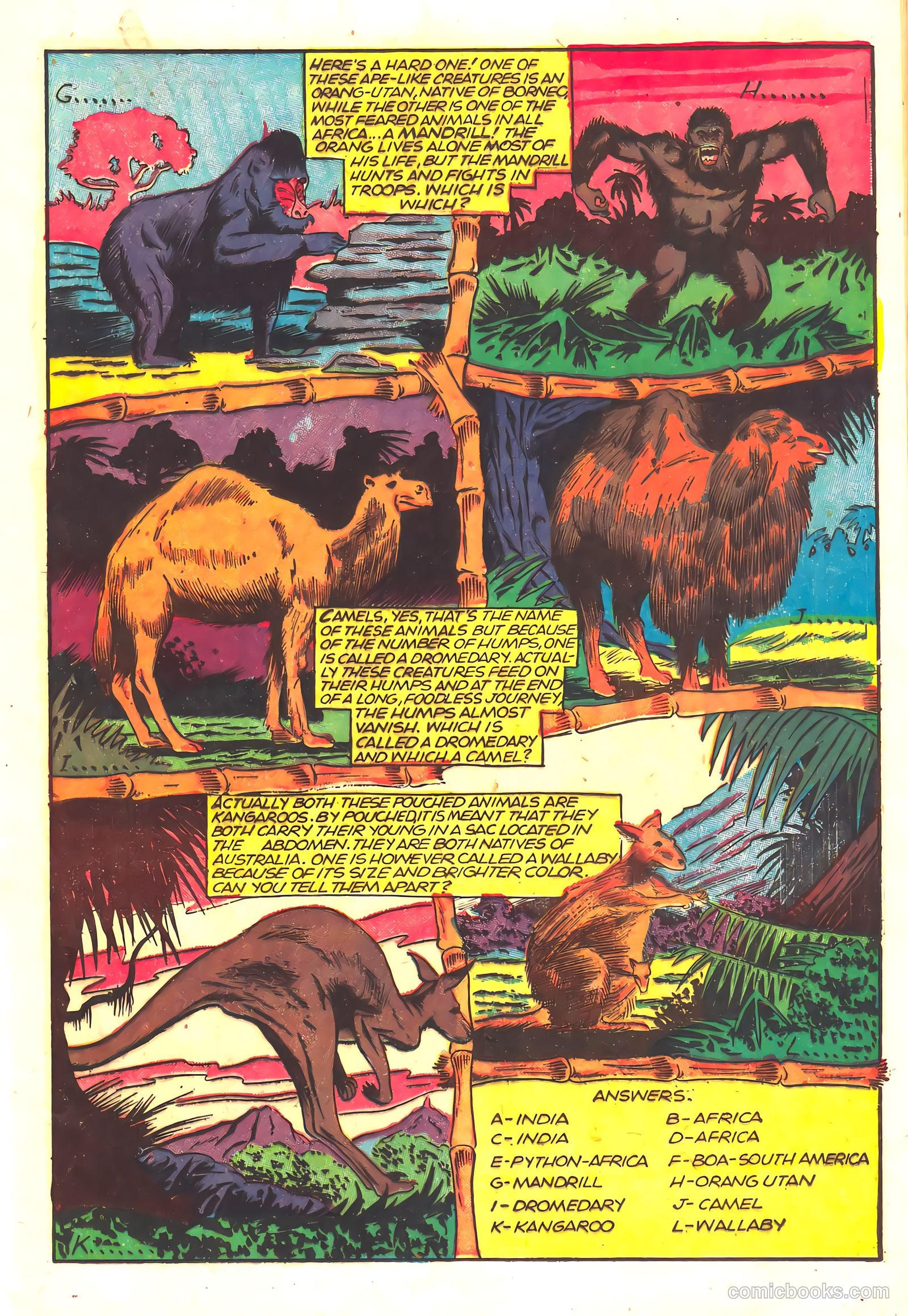 Wambi, Jungle Boy #16 — page 13 of 36