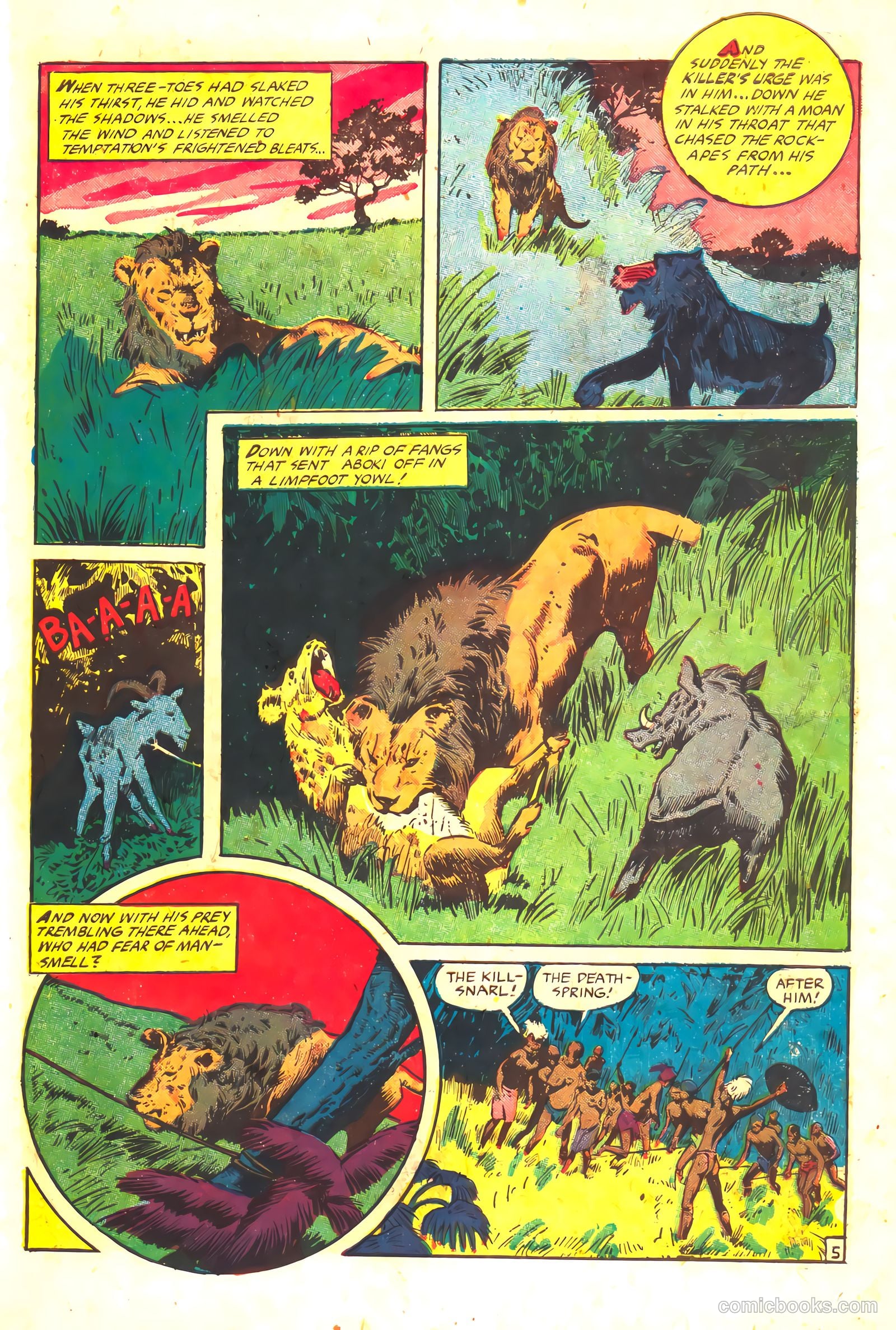 Wambi, Jungle Boy #16 — page 31 of 36