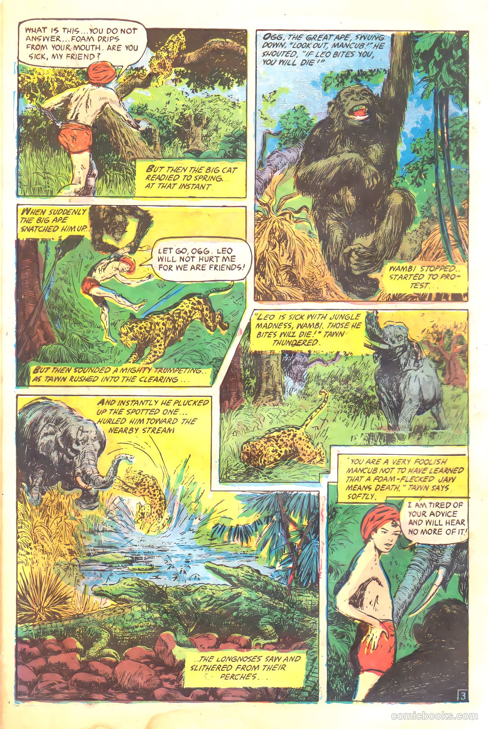Wambi, Jungle Boy #17 — page 6 of 36