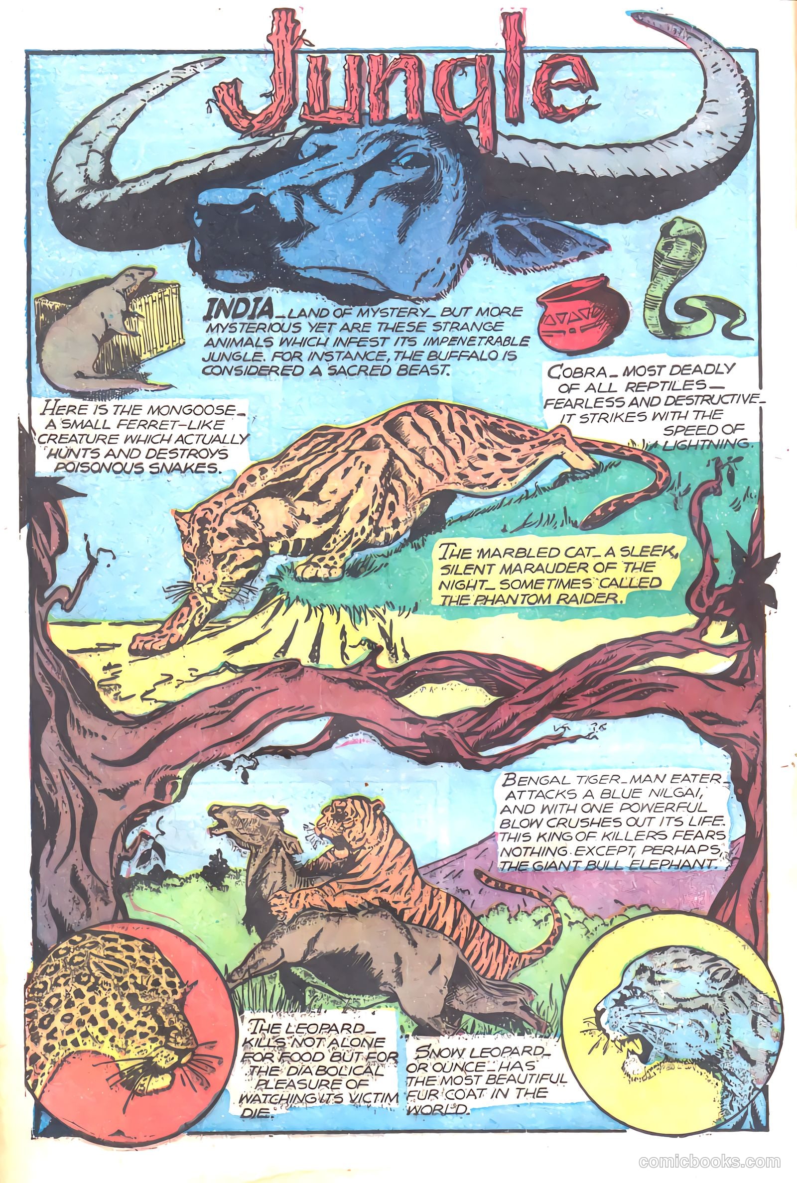 Wambi, Jungle Boy #17 — page 16 of 36