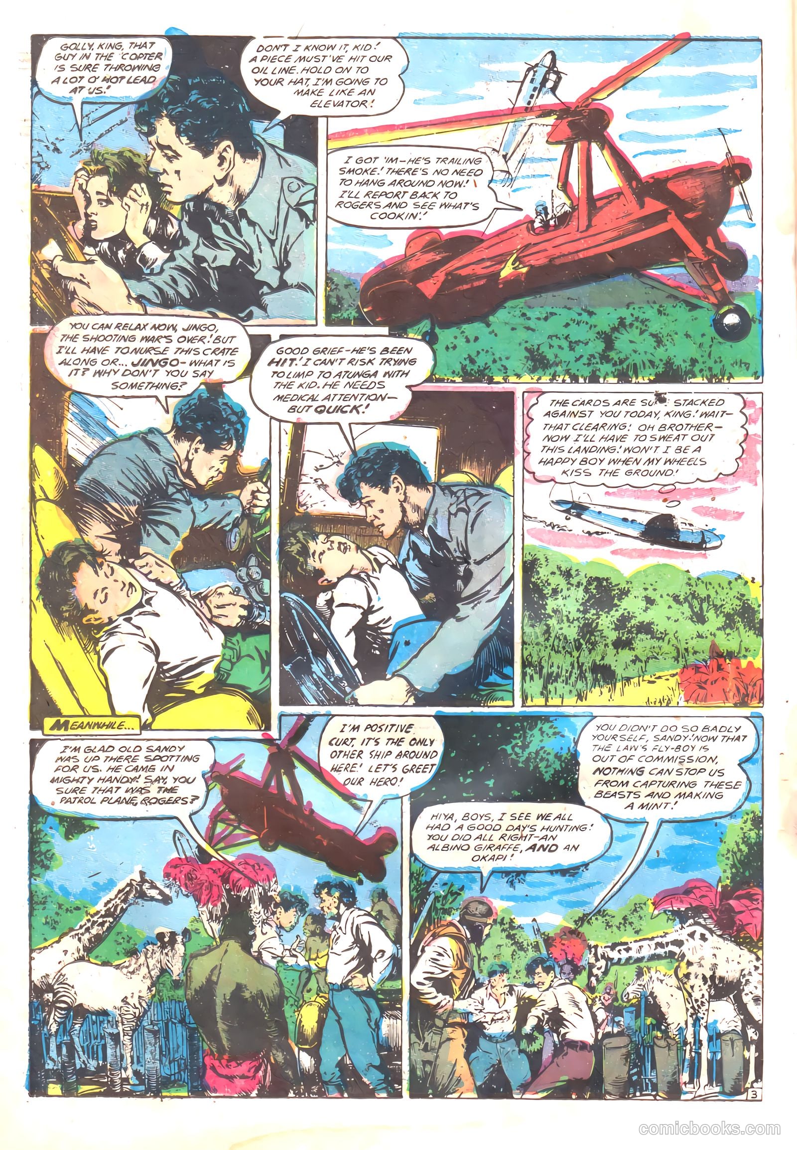 Wambi, Jungle Boy #17 — page 22 of 36