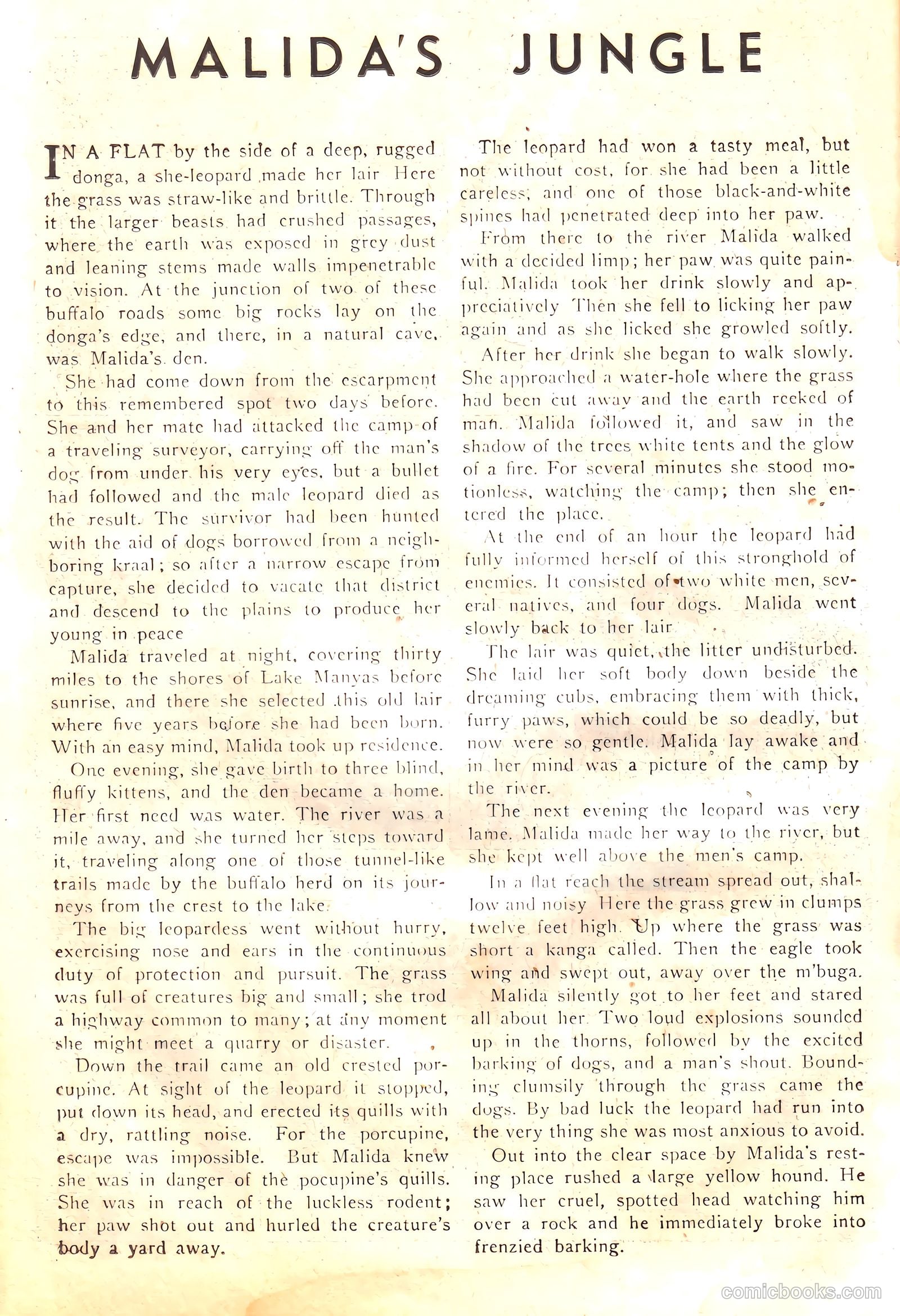 Wambi, Jungle Boy #17 — page 26 of 36