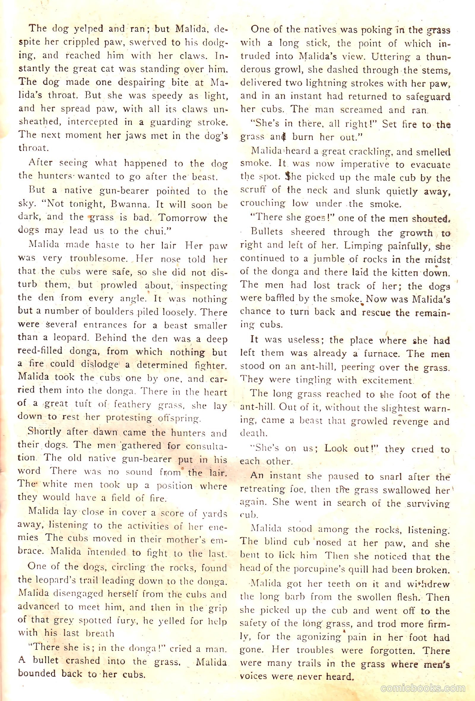 Wambi, Jungle Boy #17 — page 27 of 36