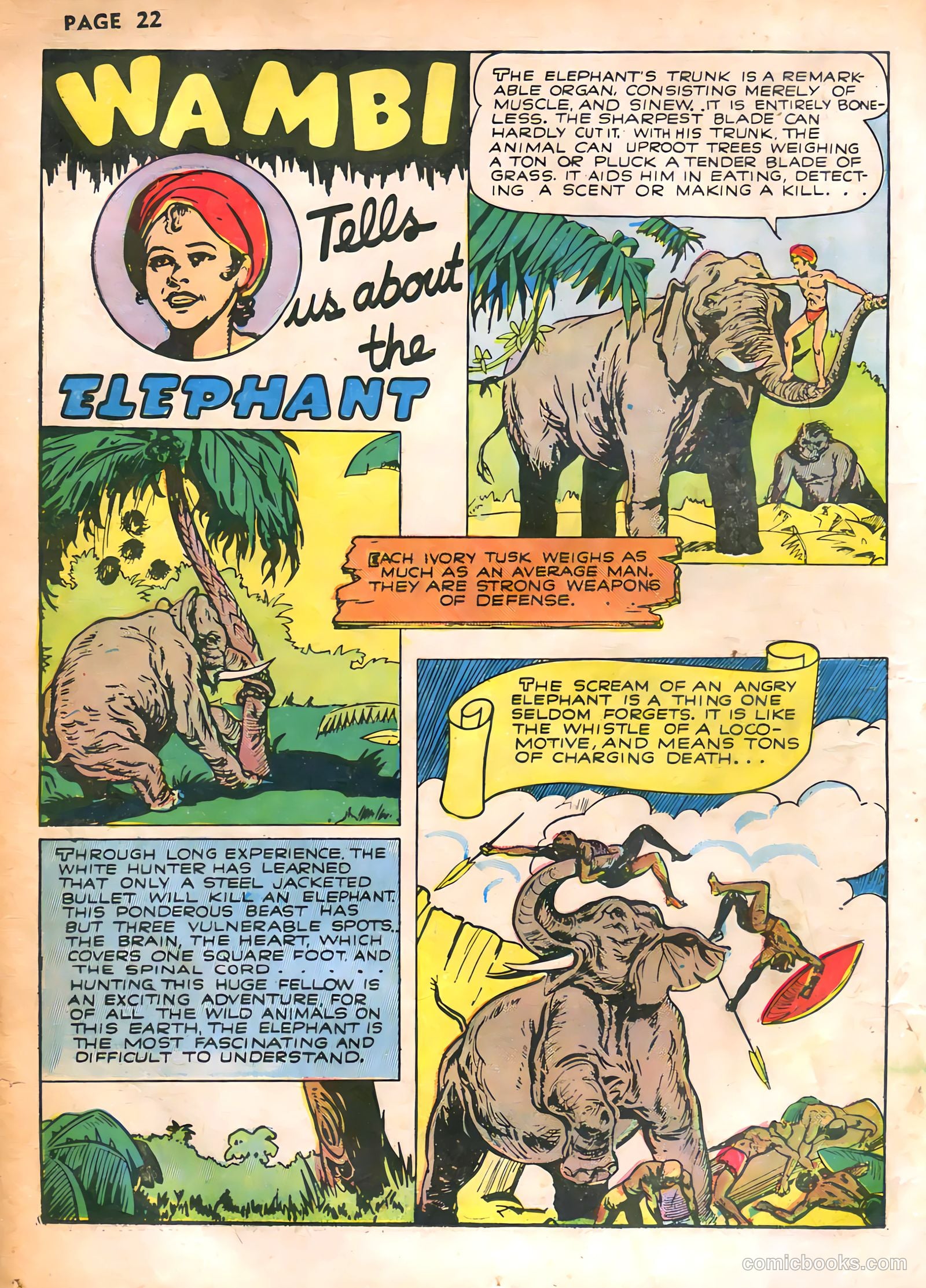 Wambi, Jungle Boy #2 — page 23 of 67
