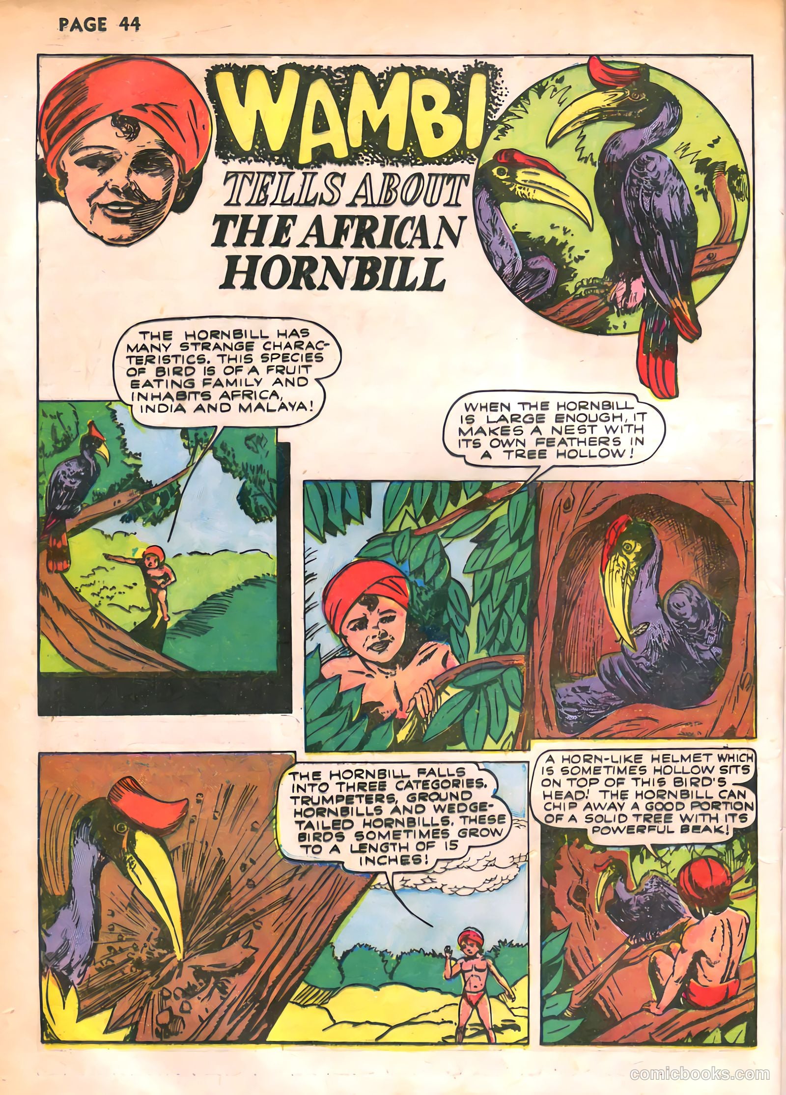 Wambi, Jungle Boy #2 — page 45 of 67