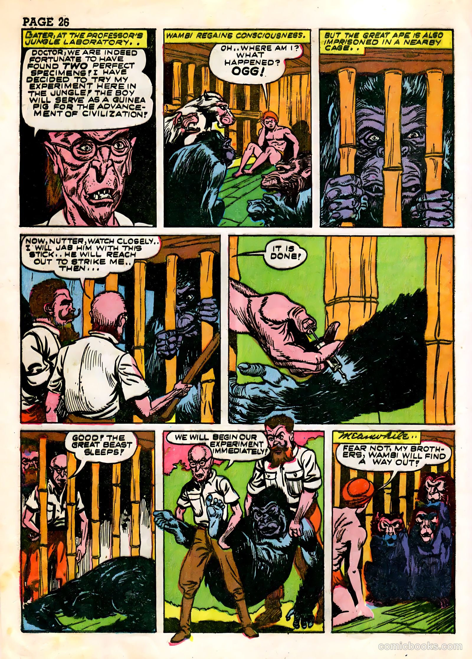 Wambi, Jungle Boy #3 (1943) — page 28 of 68