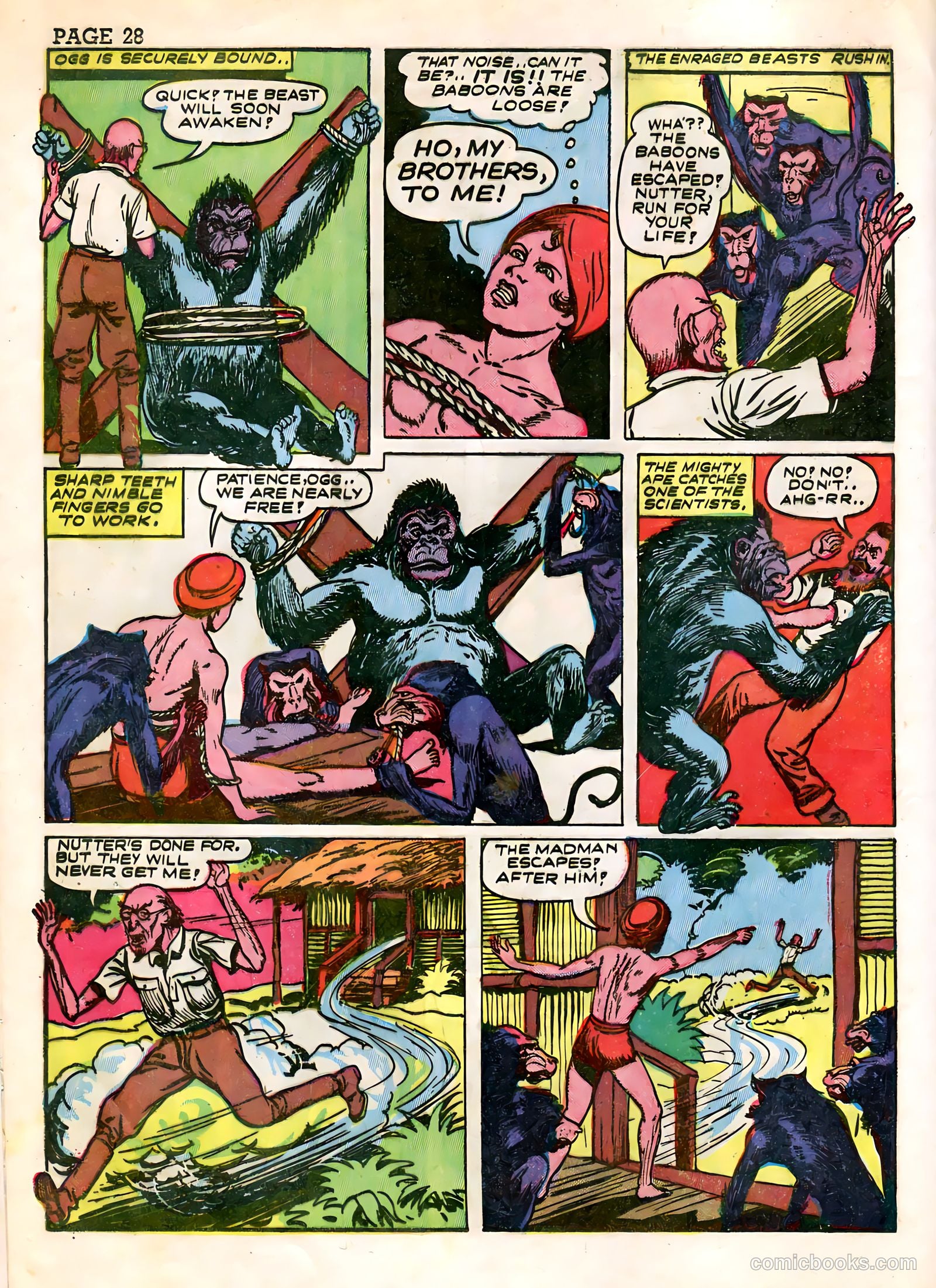 Wambi, Jungle Boy #3 (1943) — page 30 of 68
