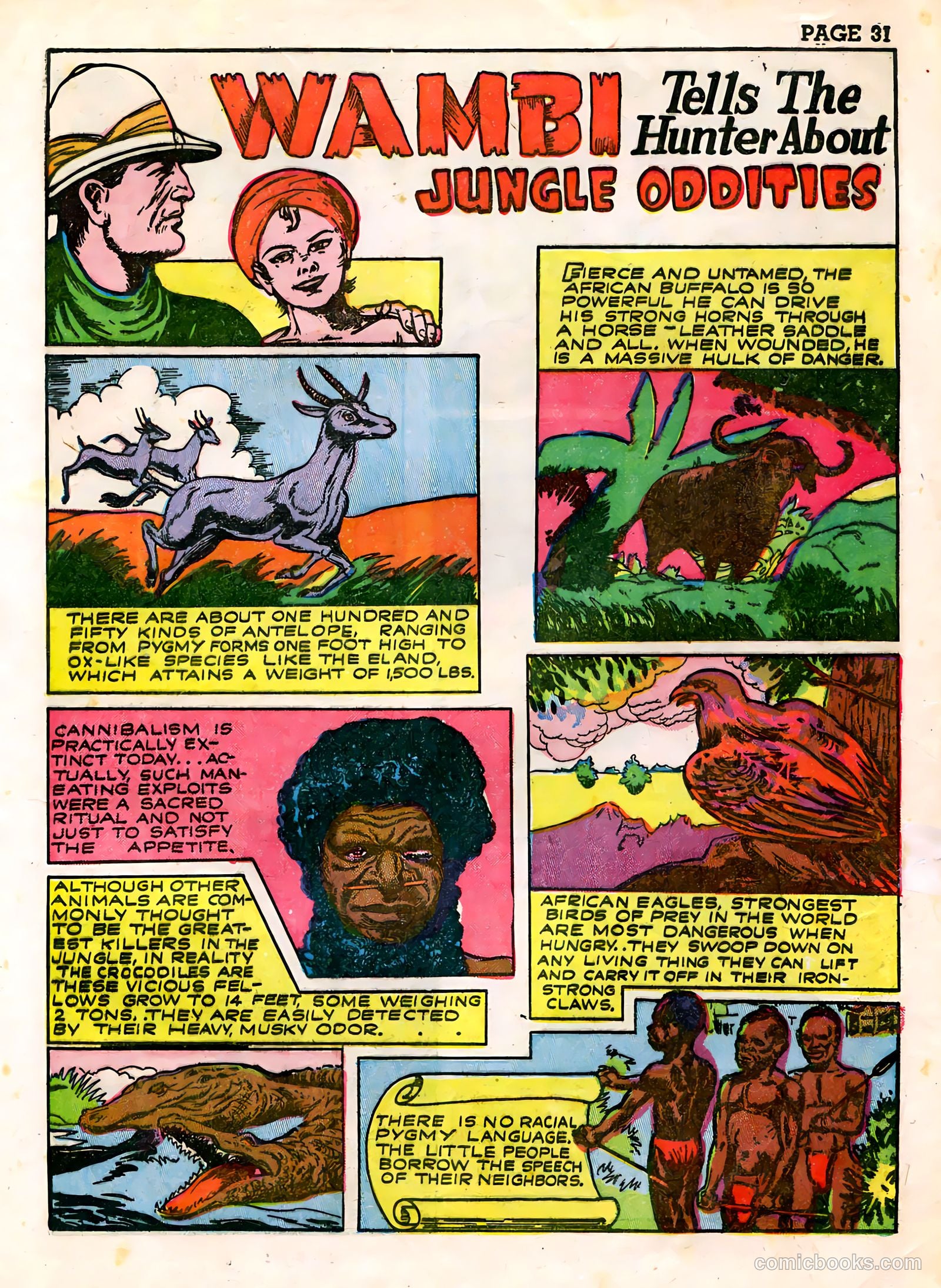 Wambi, Jungle Boy #3 (1943) — page 33 of 68