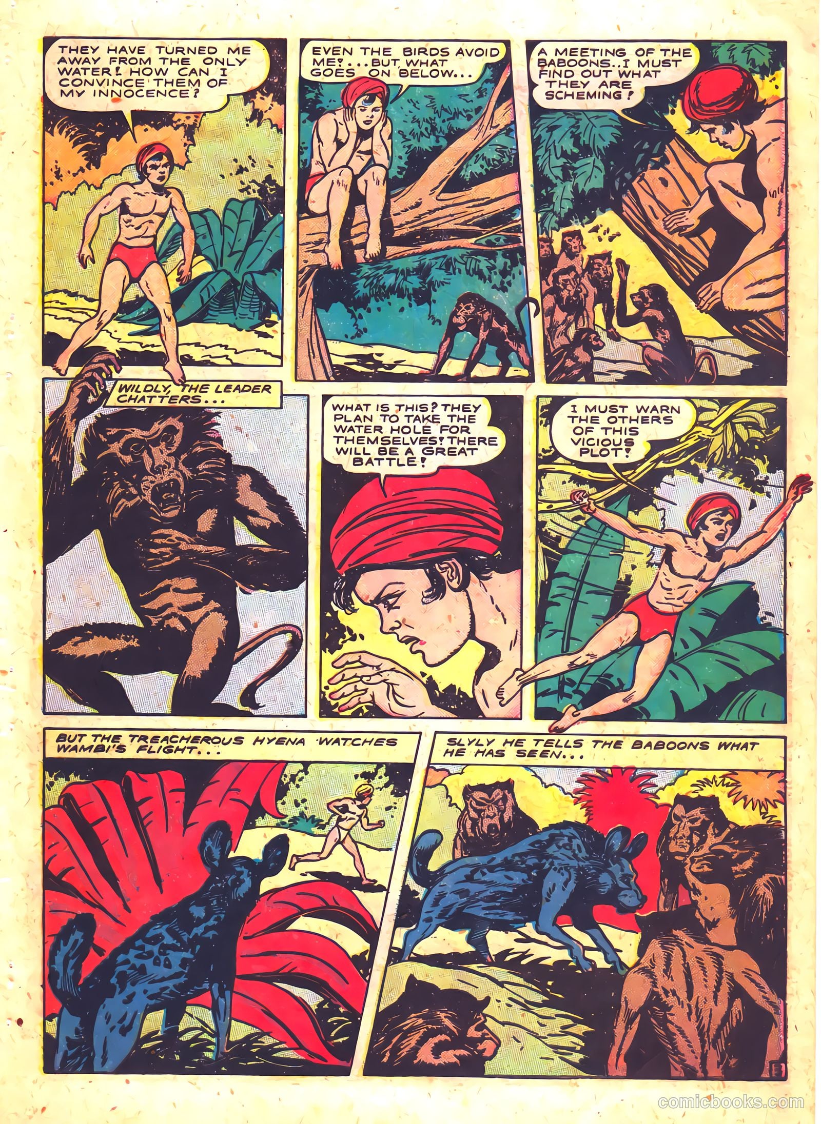 Wambi, Jungle Boy #5 (1949) — page 27 of 36