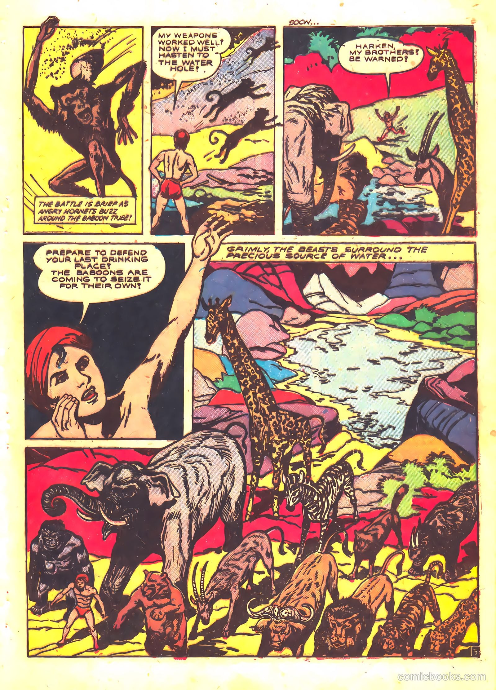 Wambi, Jungle Boy #5 (1949) — page 29 of 36
