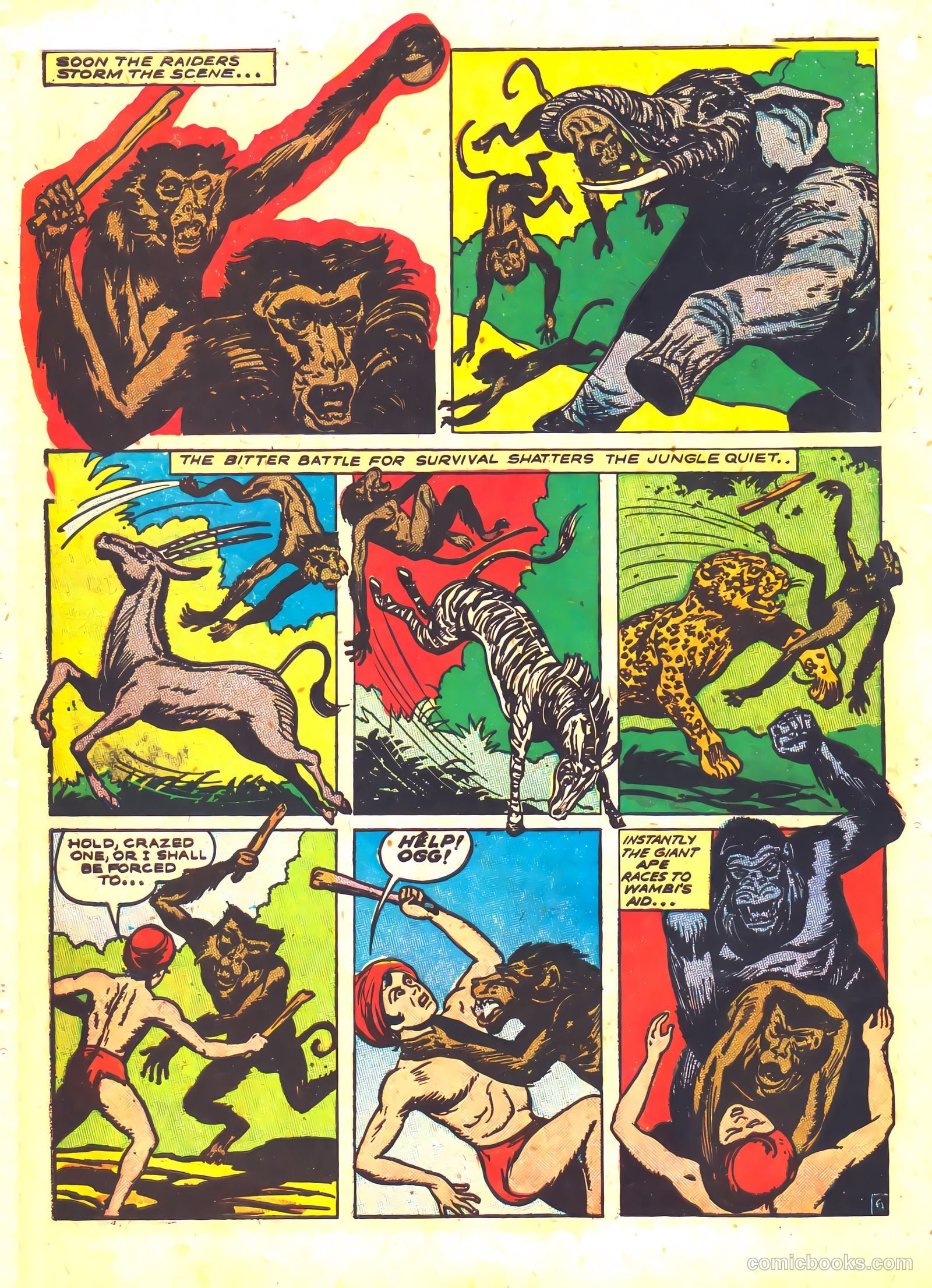 Wambi, Jungle Boy #5 (1949) — page 30 of 36