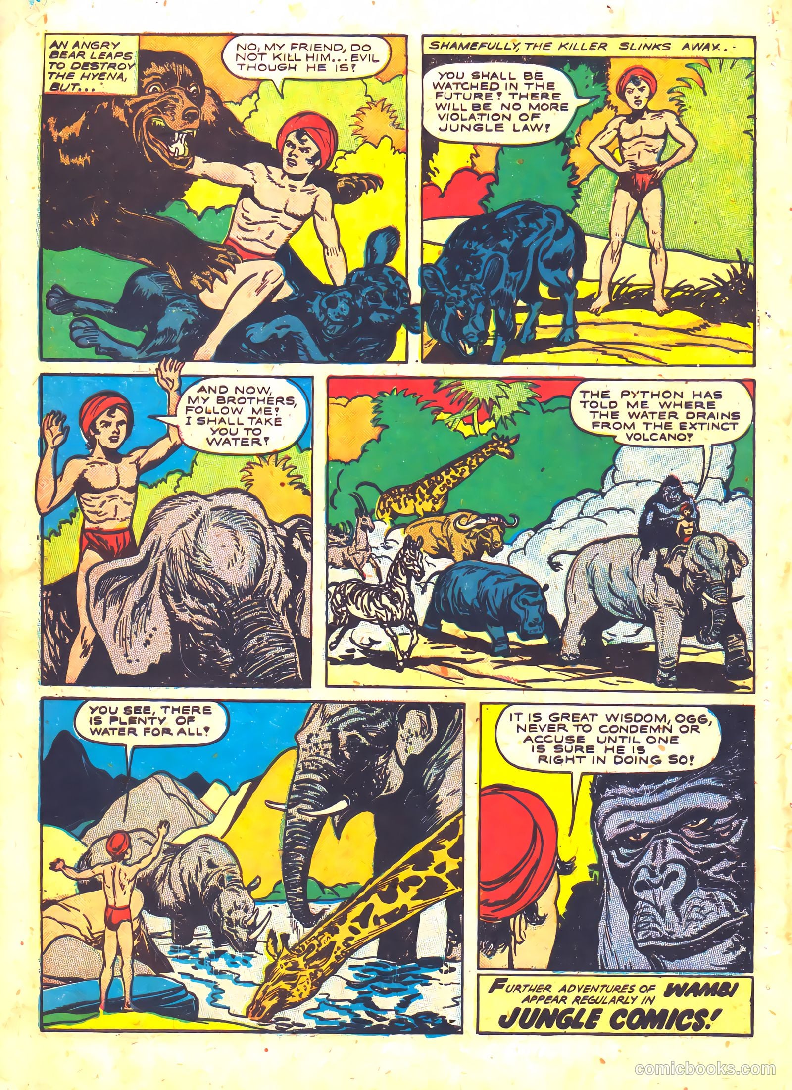 Wambi, Jungle Boy #5 (1949) — page 34 of 36