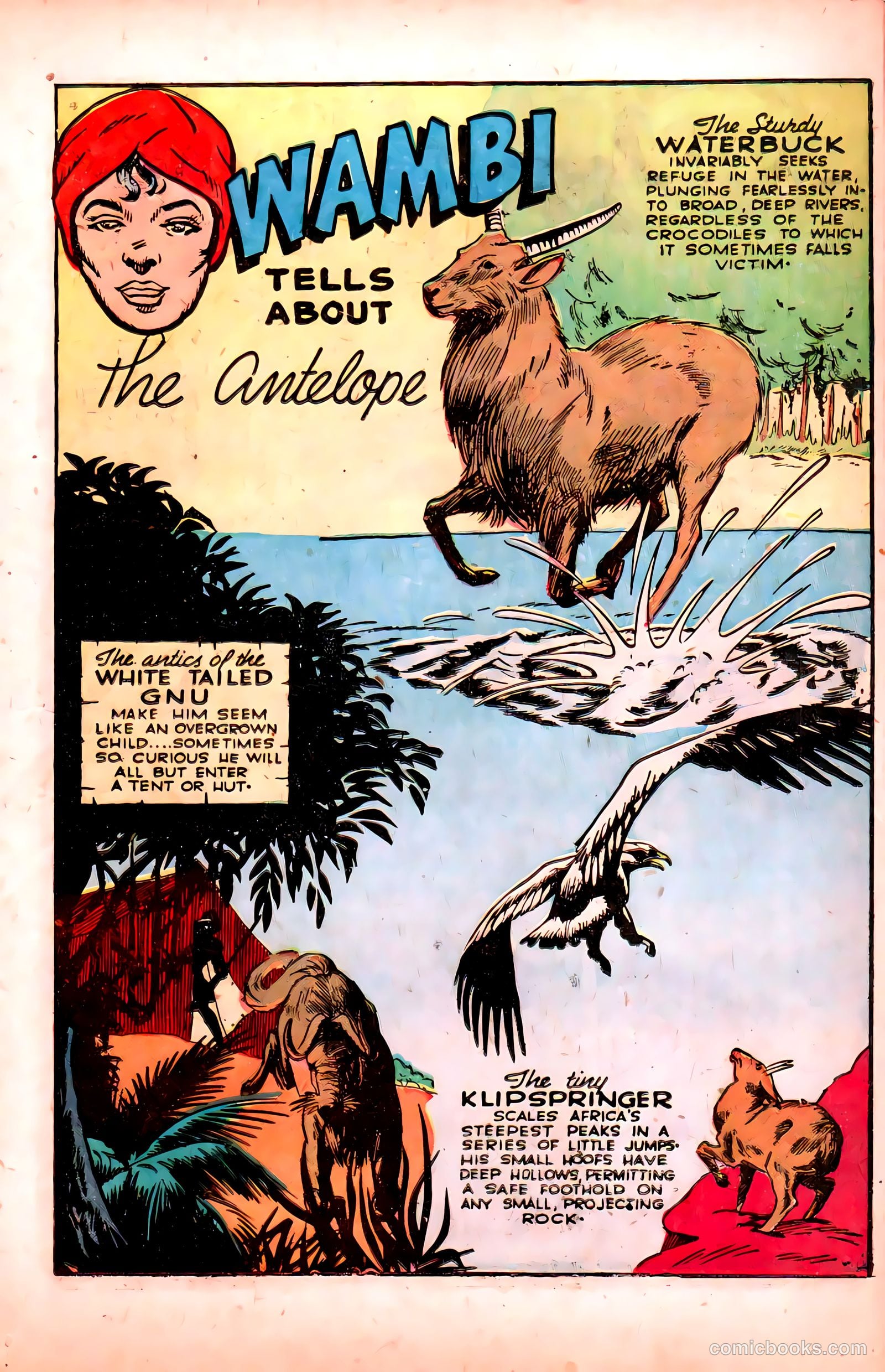 Wambi, Jungle Boy #6 — page 15 of 52