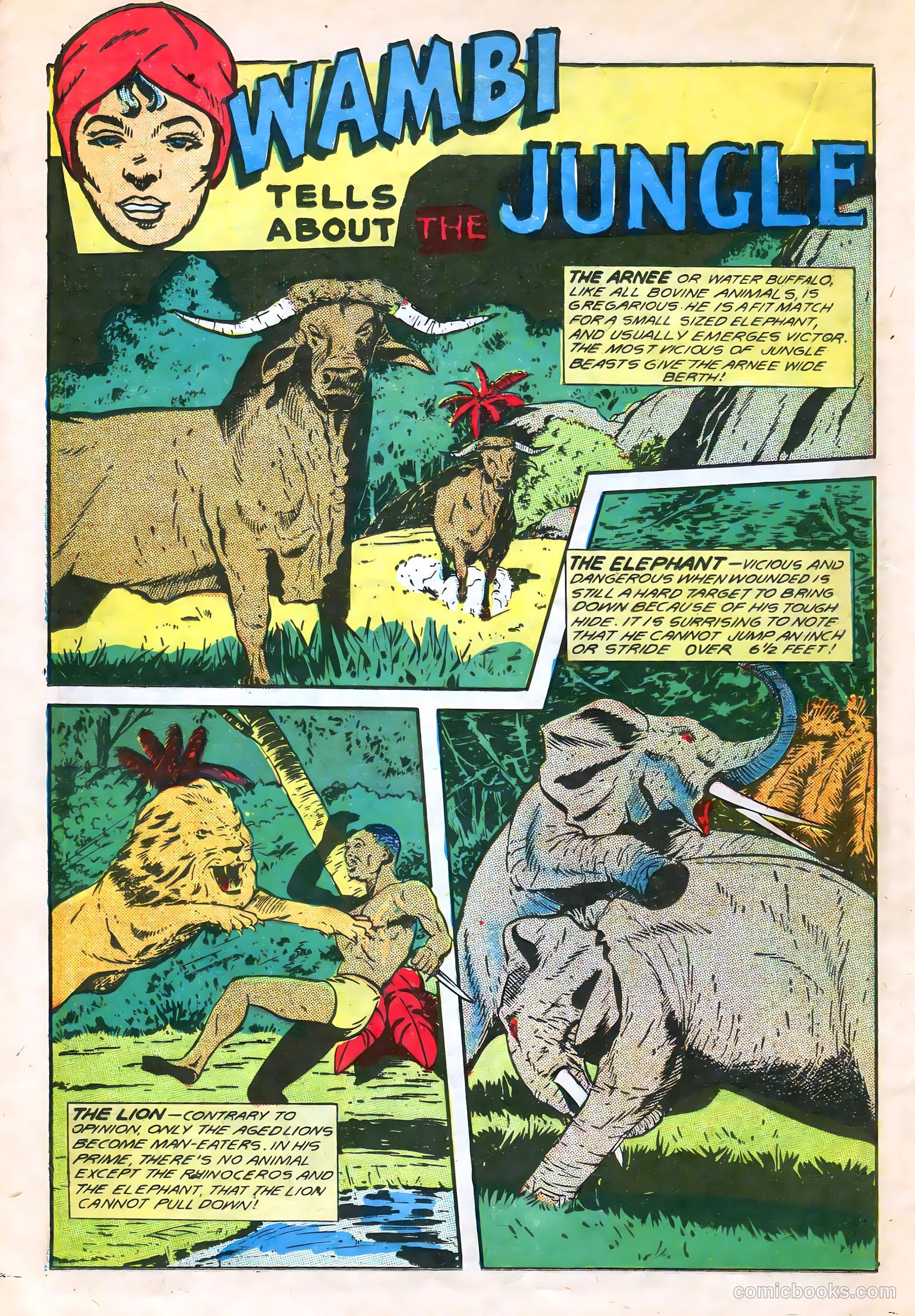 Wambi, Jungle Boy #7 (1950) — page 28 of 52