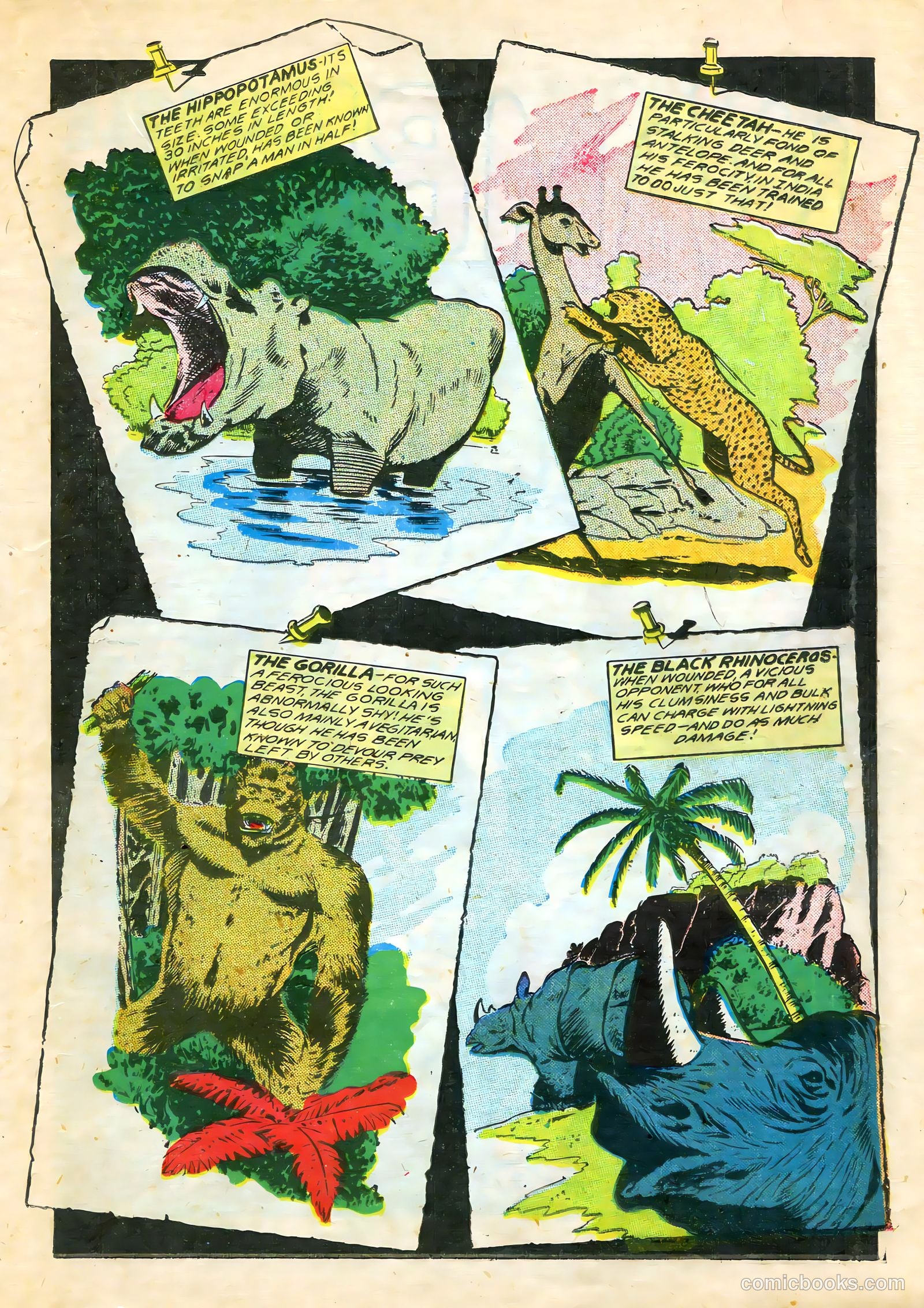 Wambi, Jungle Boy #7 (1950) — page 29 of 52