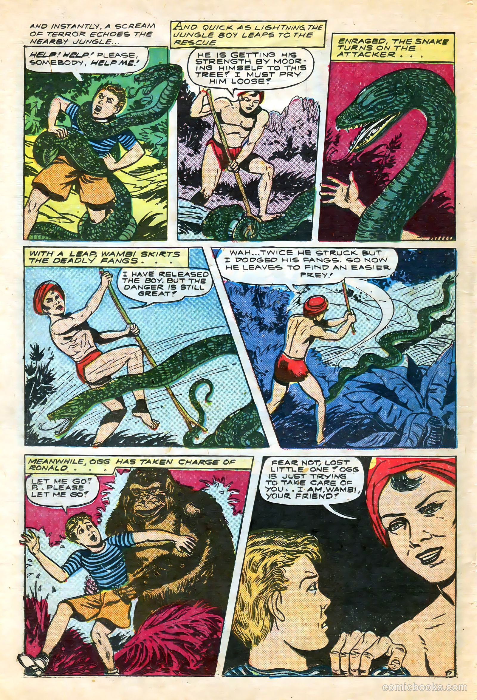Wambi, Jungle Boy #7 (1950) — page 36 of 52