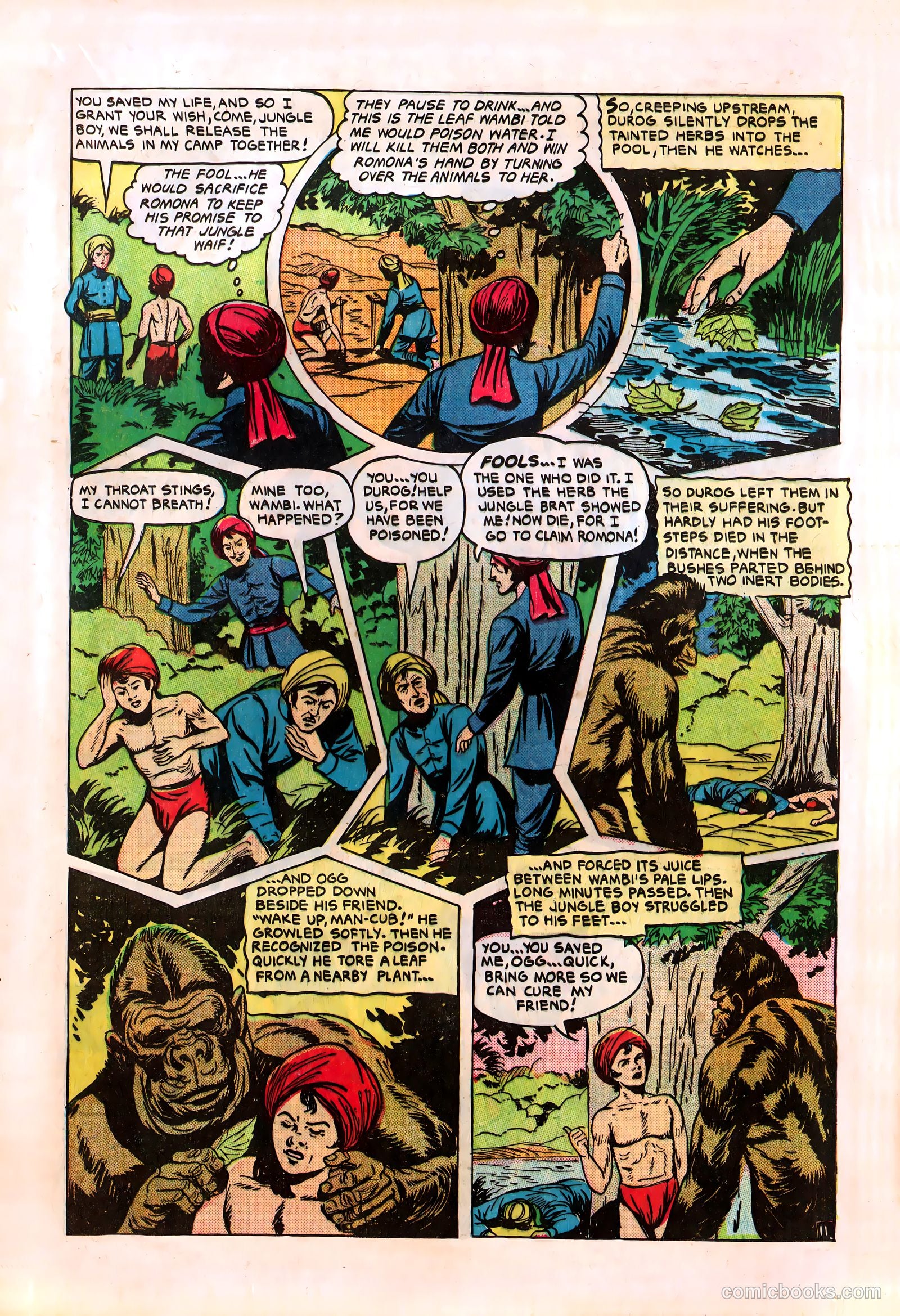 Wambi, Jungle Boy #8 (1950) — page 13 of 36
