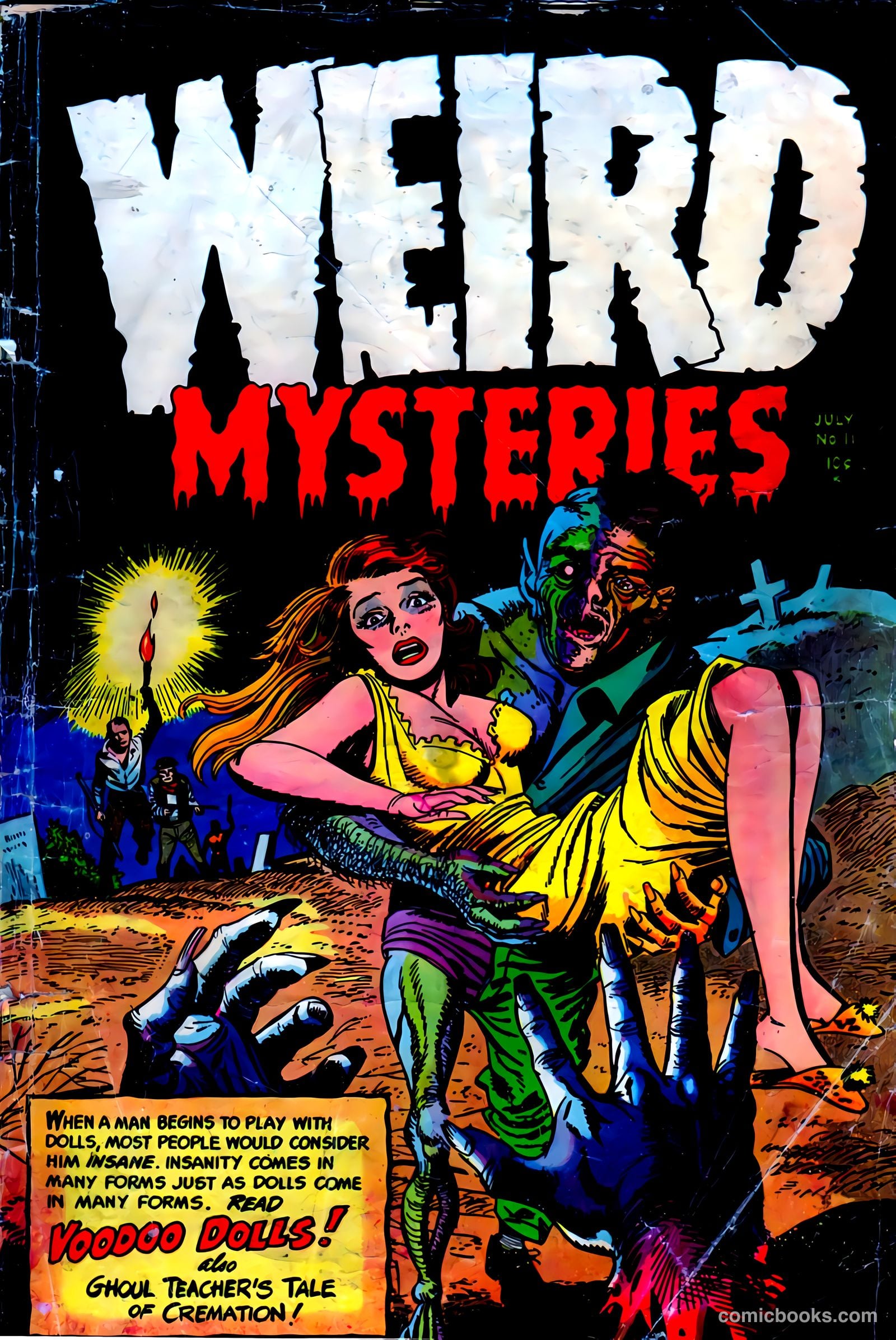 Weird Mysteries #11