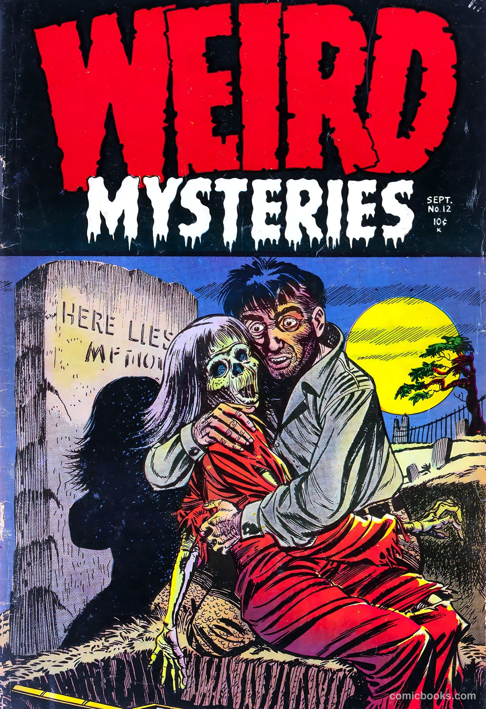 Weird Mysteries #12