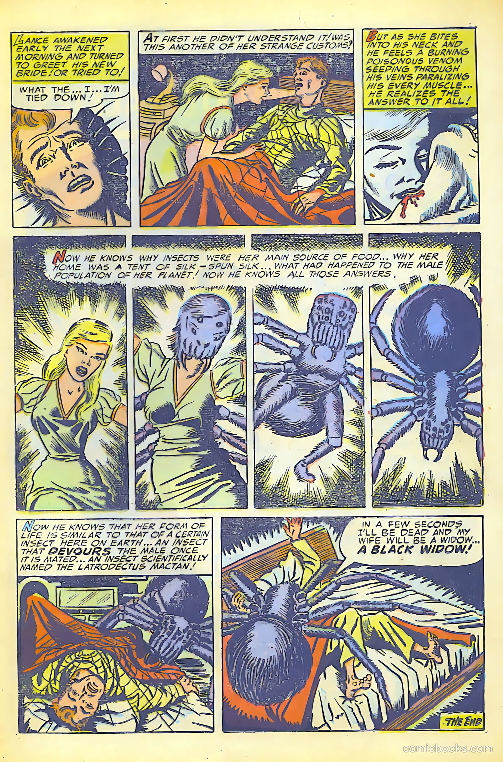 Weird Mysteries #7 (1953) — page 11 of 26