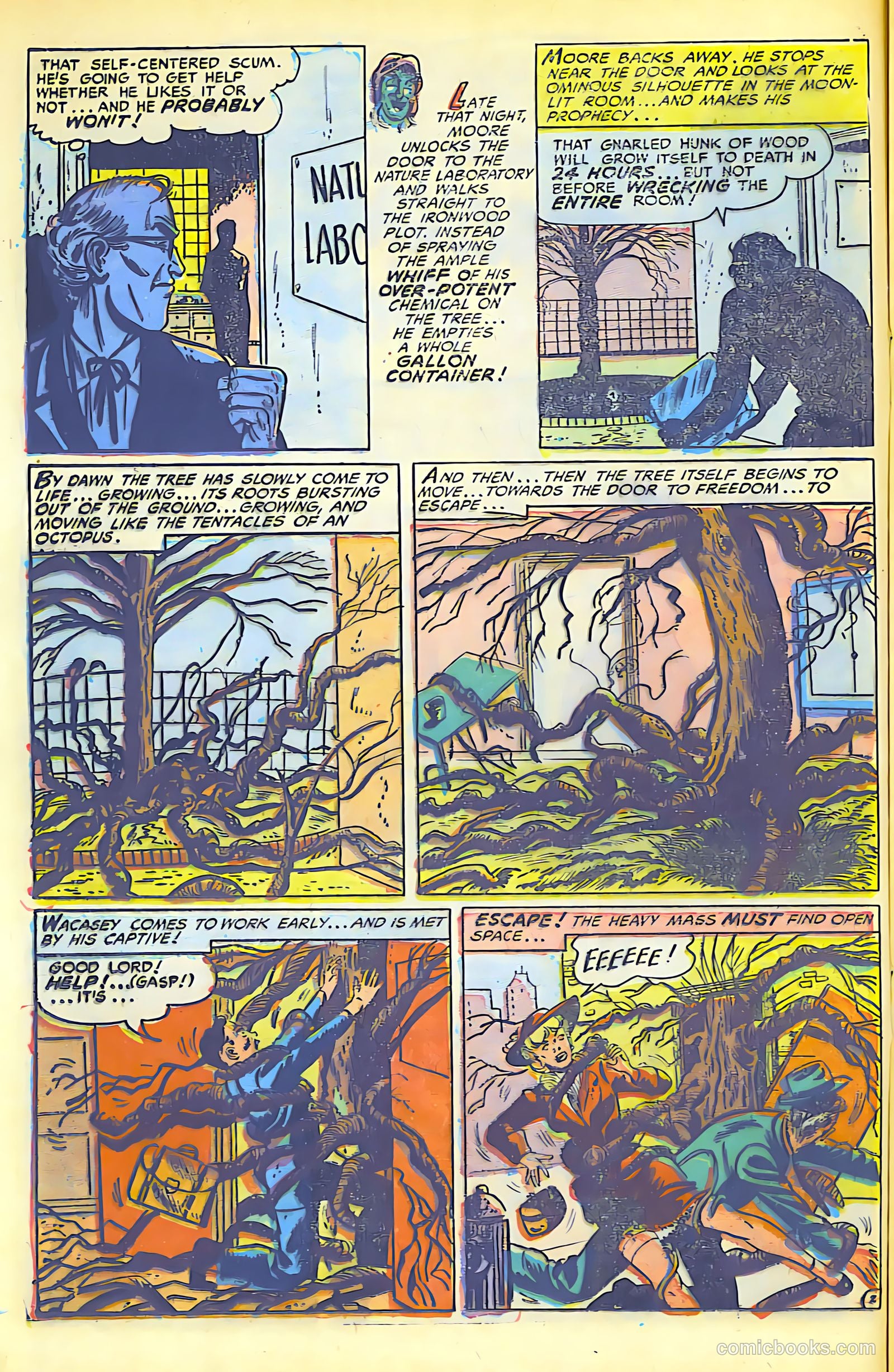 Weird Mysteries #7 (1953) — page 13 of 26