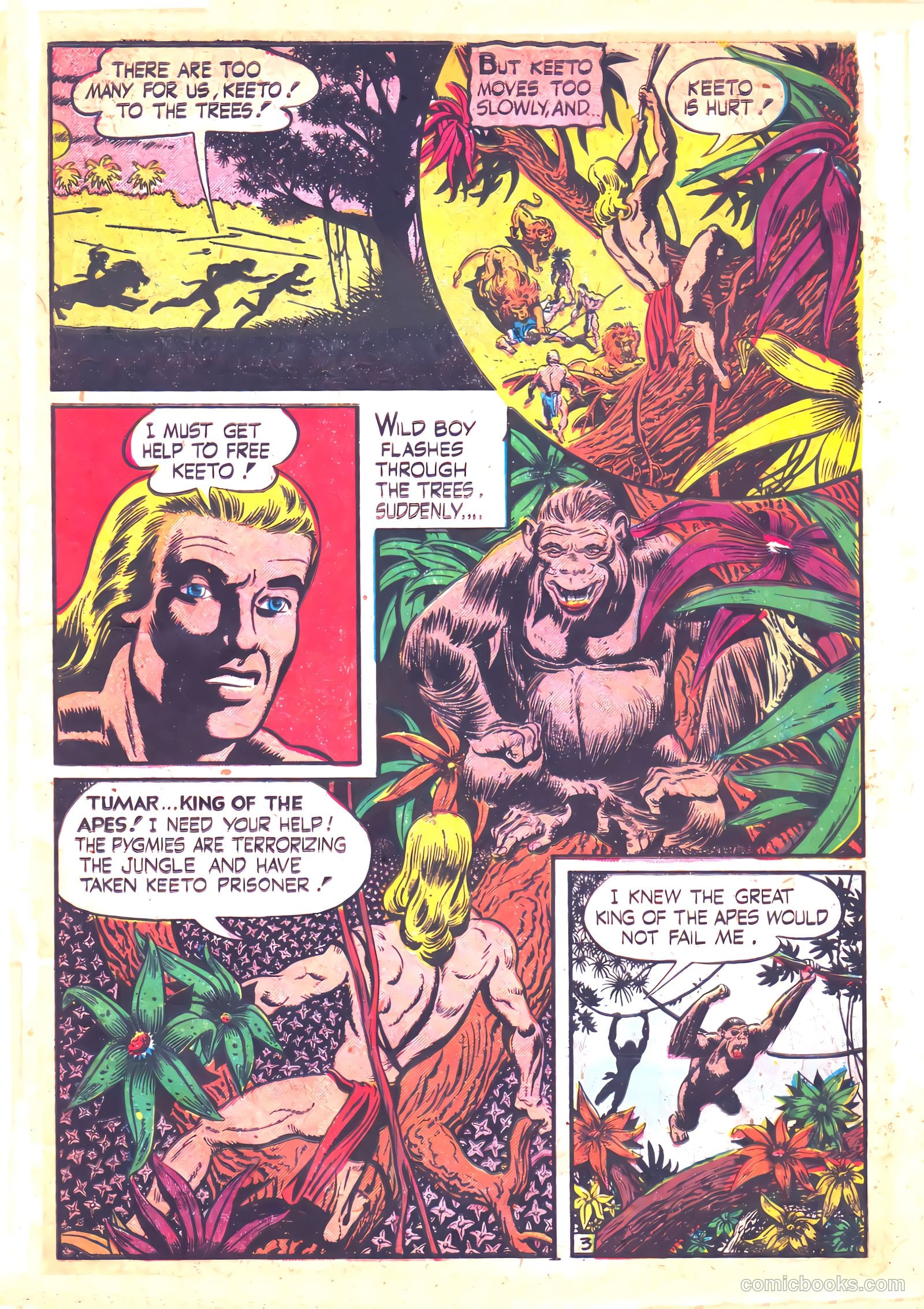 Wild! #12 — page 5 of 36