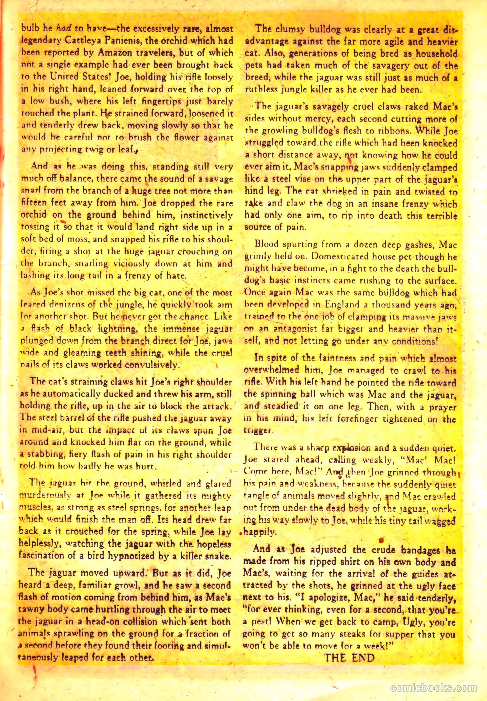 Wild! #12 — page 19 of 36