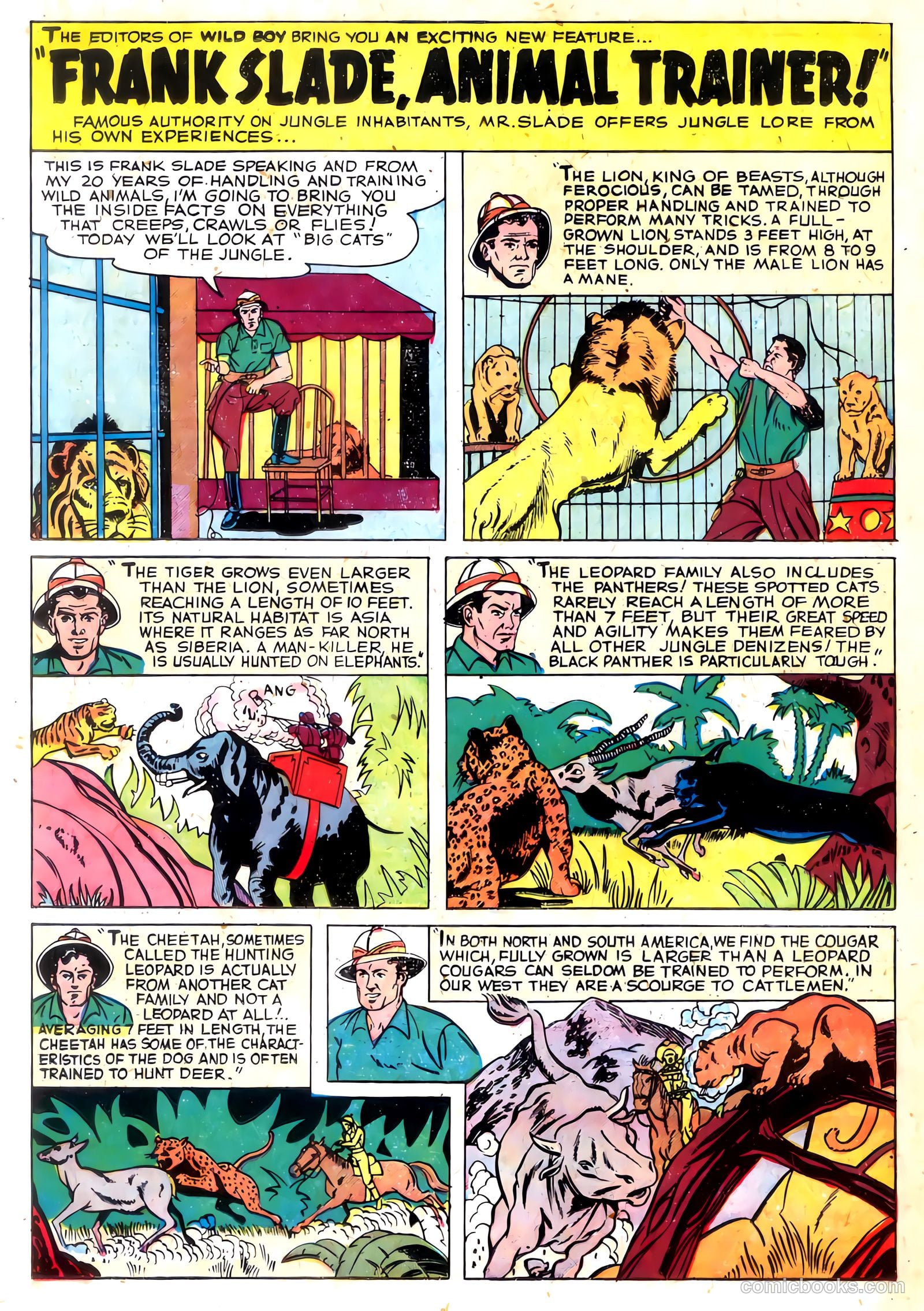 Wild Boy #4 (1951) — page 21