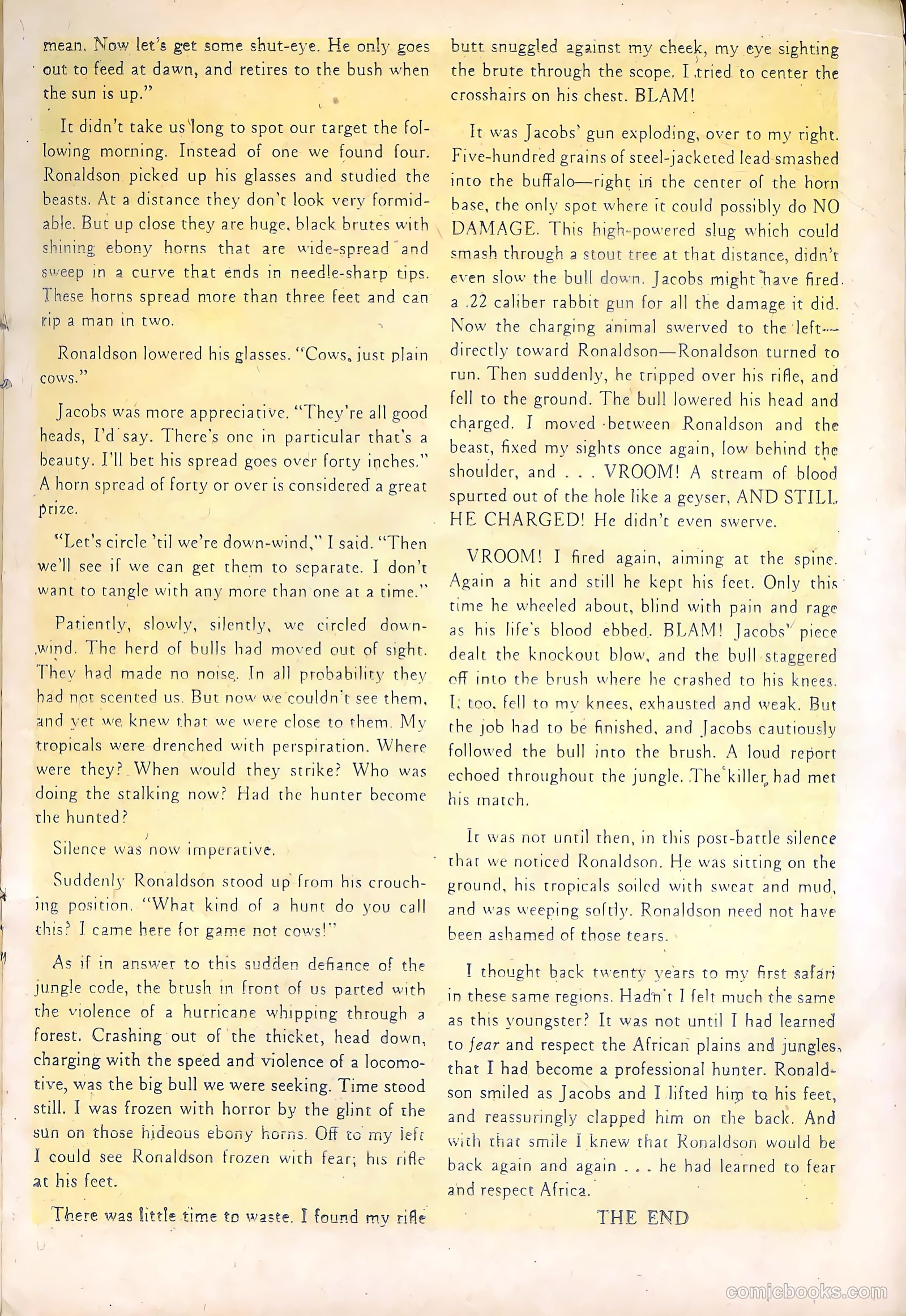 Wild Boy #5 (1951) — page 17