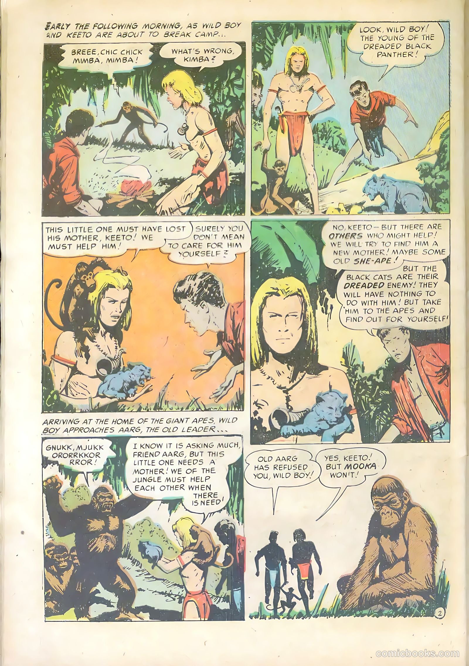 Wild Boy #5 (1951) — page 28