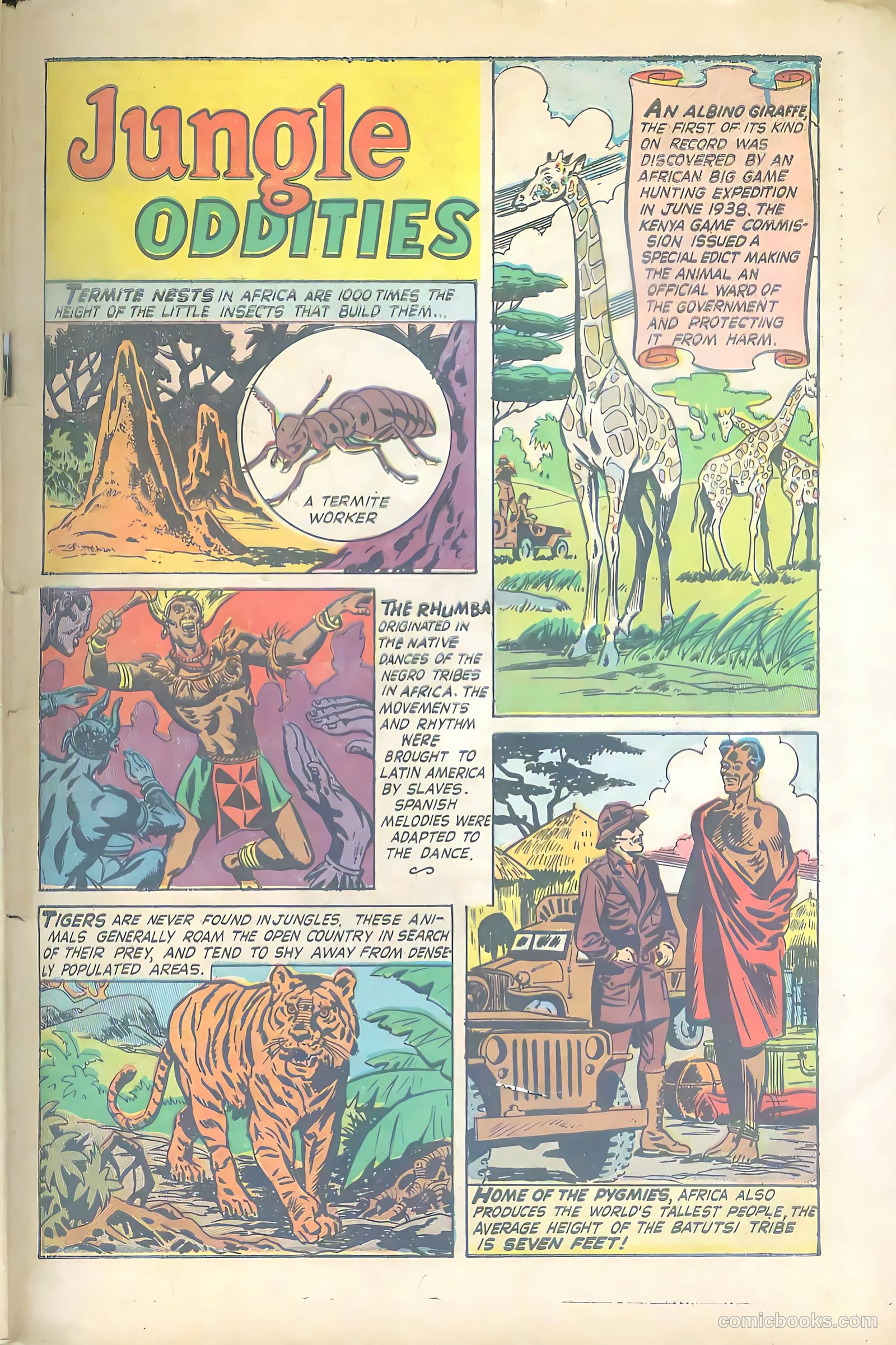Wild Boy #5 (1951) — page 33