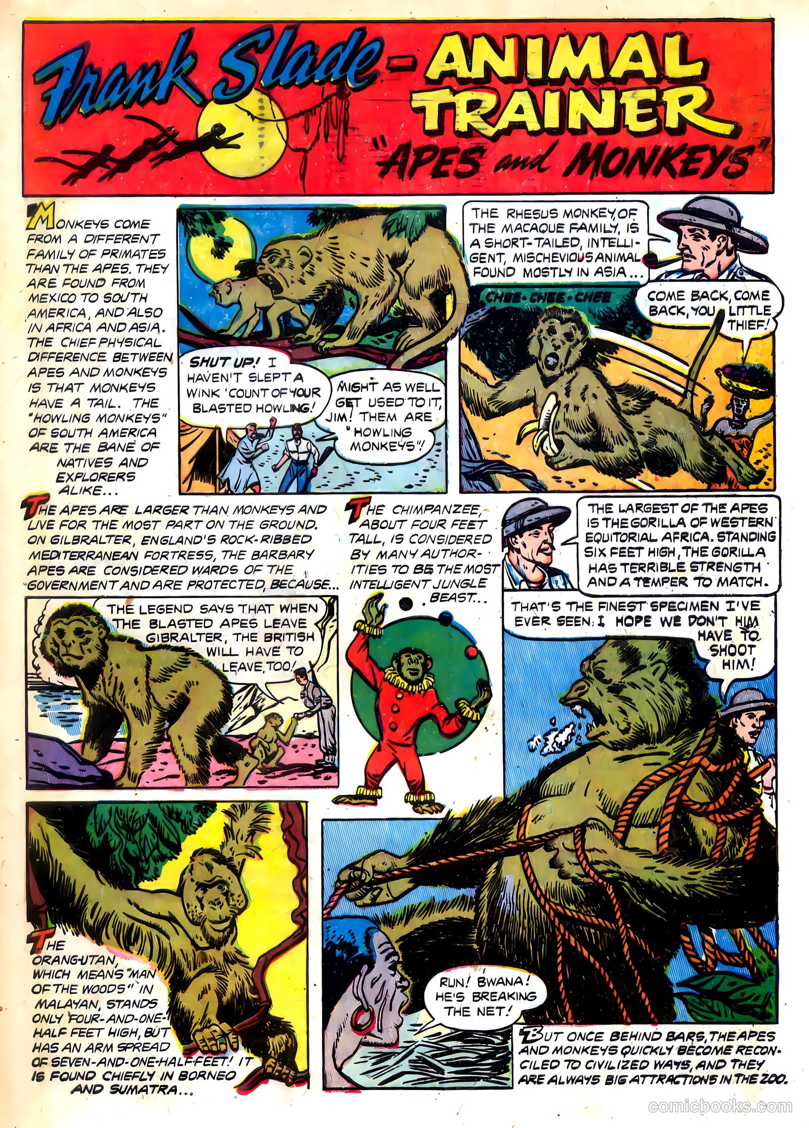 Wild Boy #7 (1952) — page 34