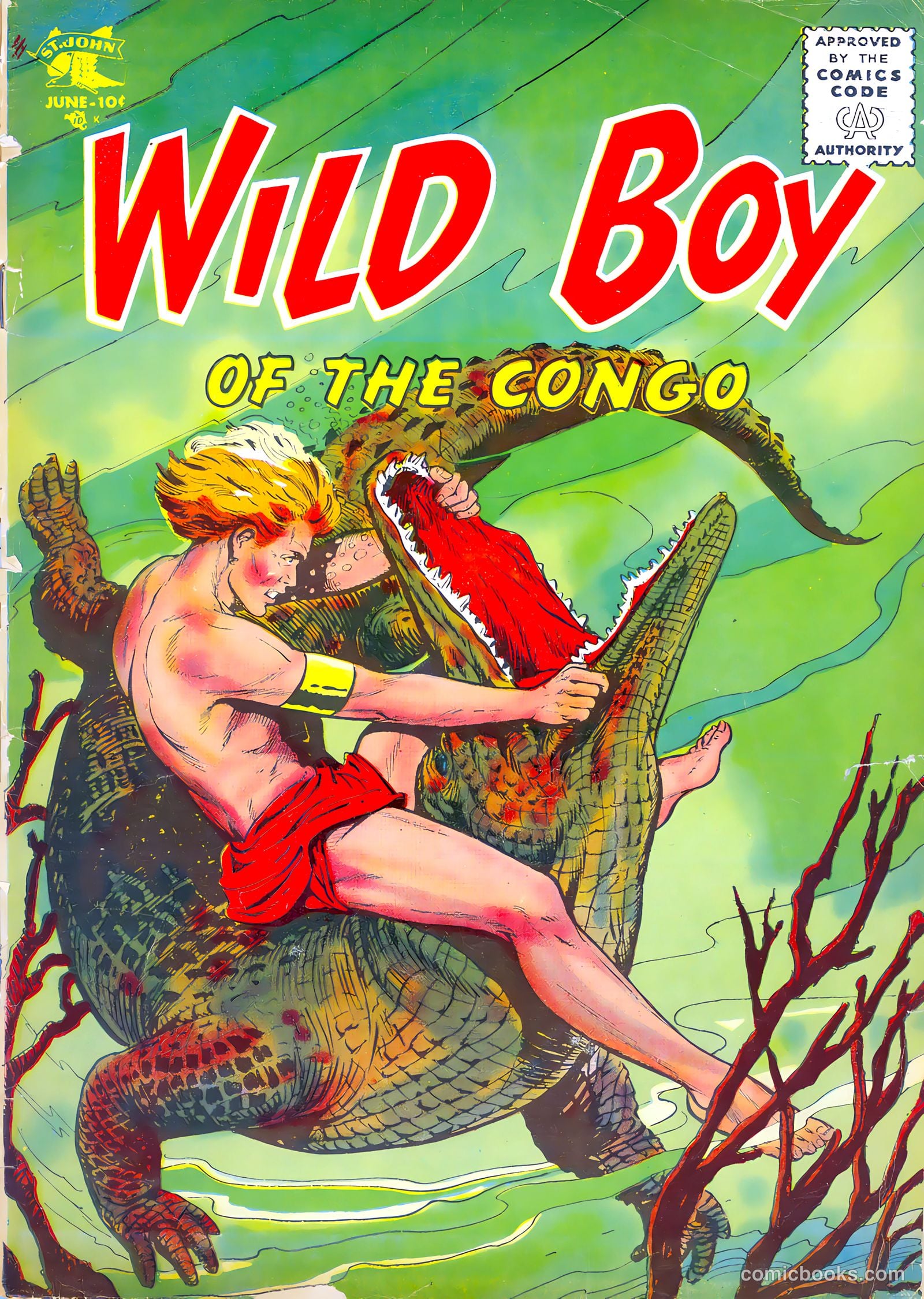 Wild Boy of the Congo #15