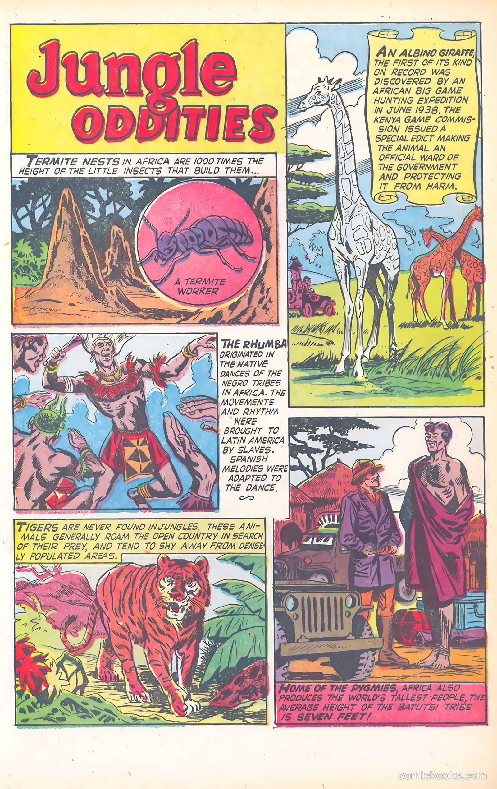 Wild Boy of the Congo #15 (1955) — page 32 of 37